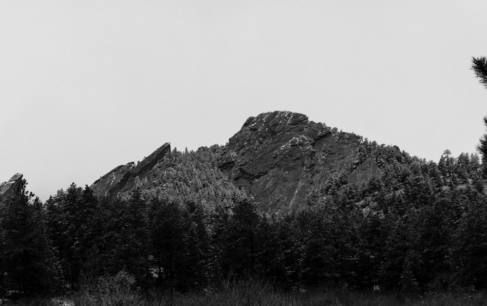 a mountain with trees in front of it