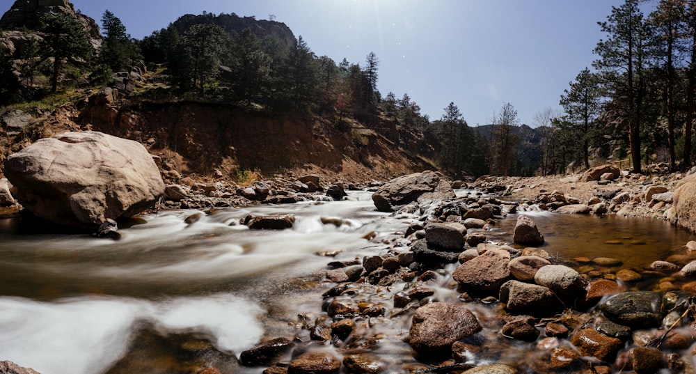 a river with rocks and trees