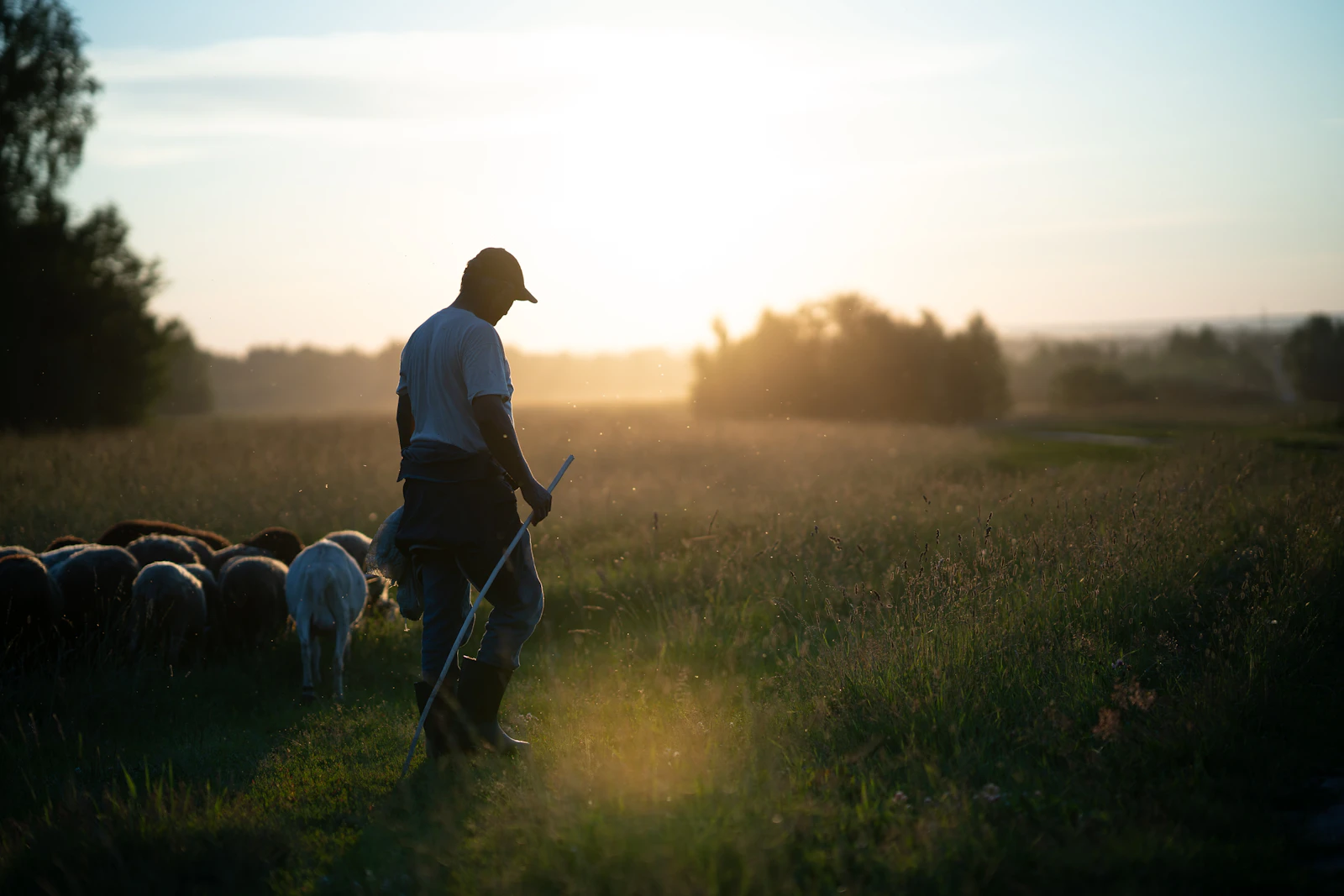 GreenHarvest Farms at dusk