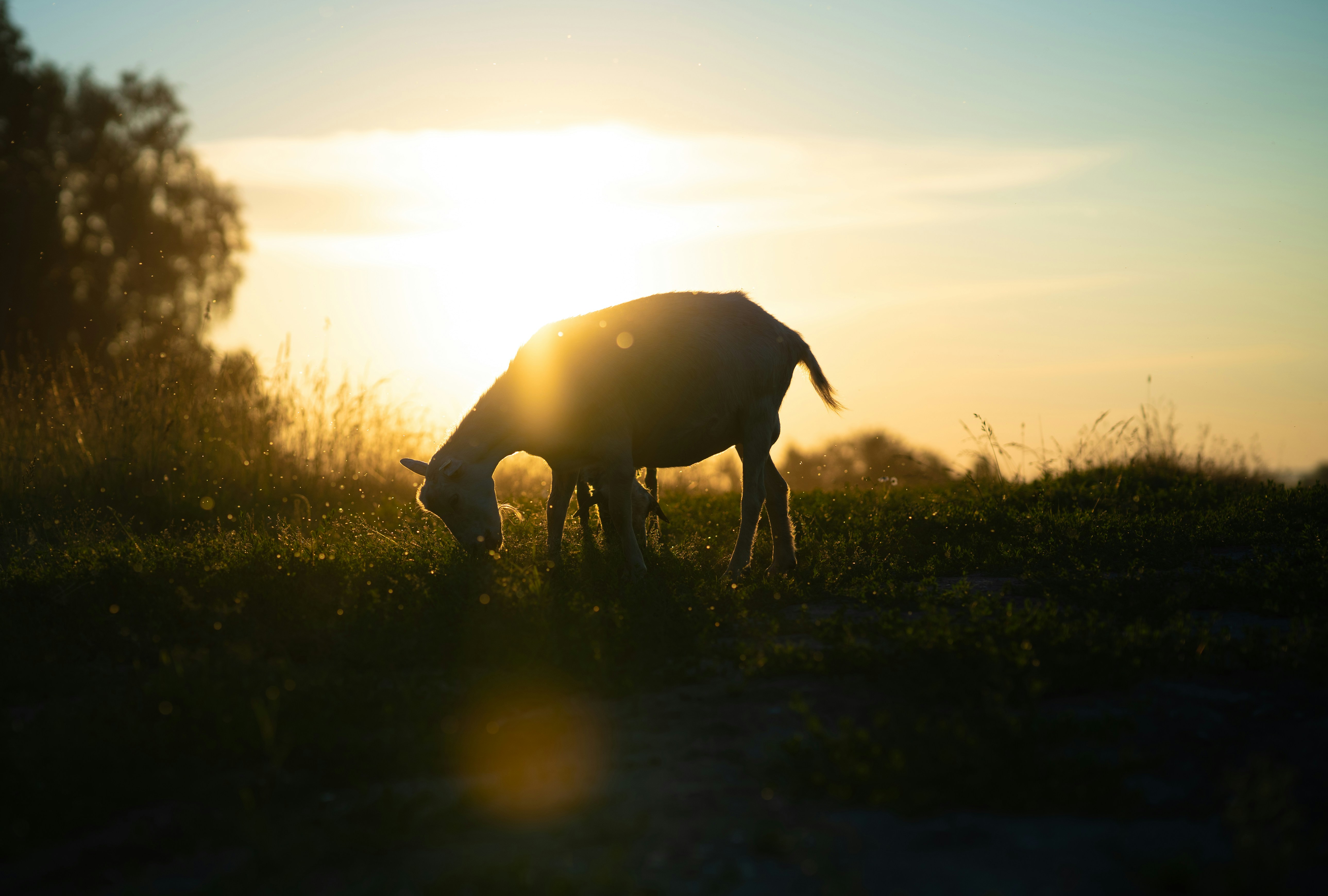 Photo by anamnesis33