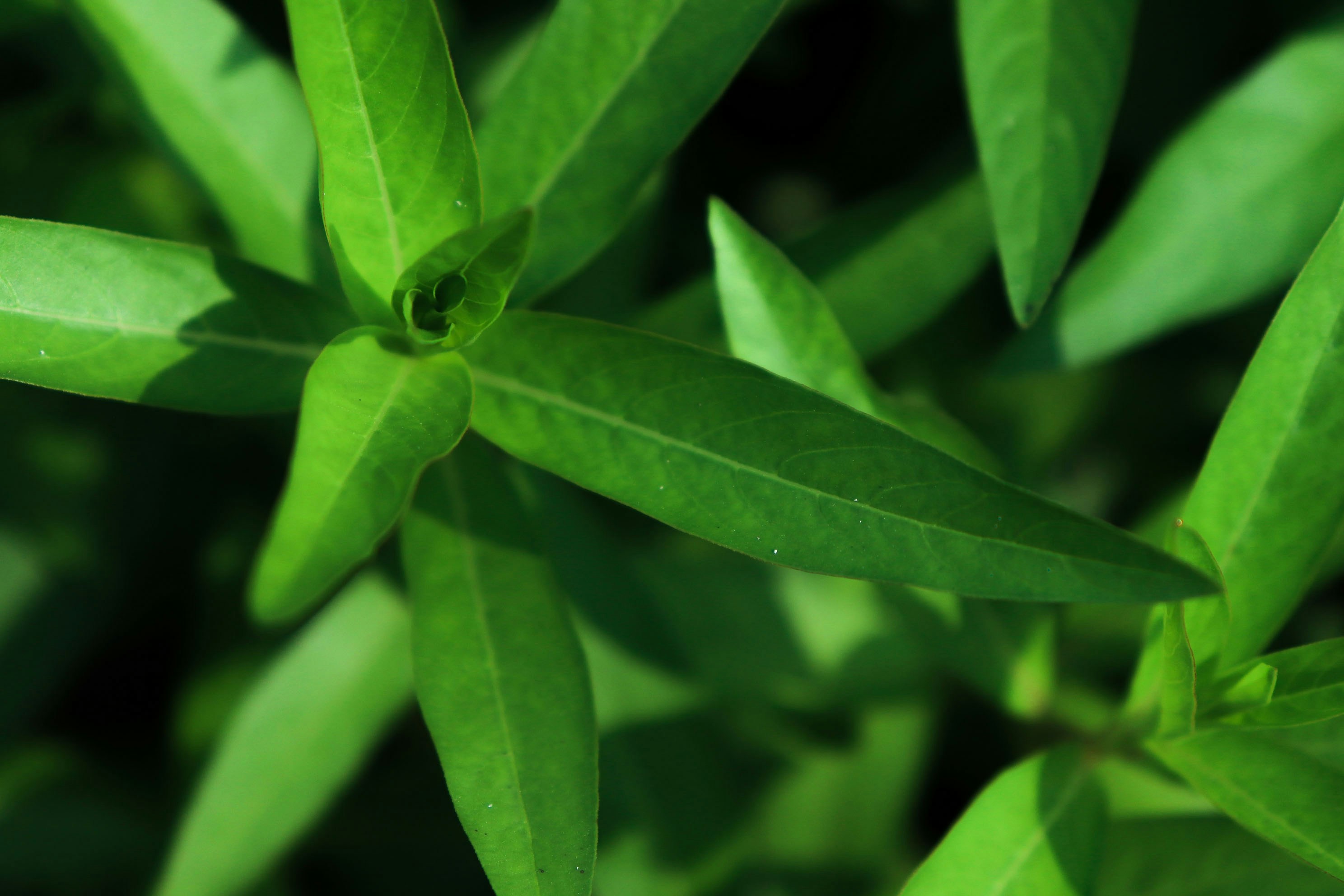 Photo by pencilworld_k