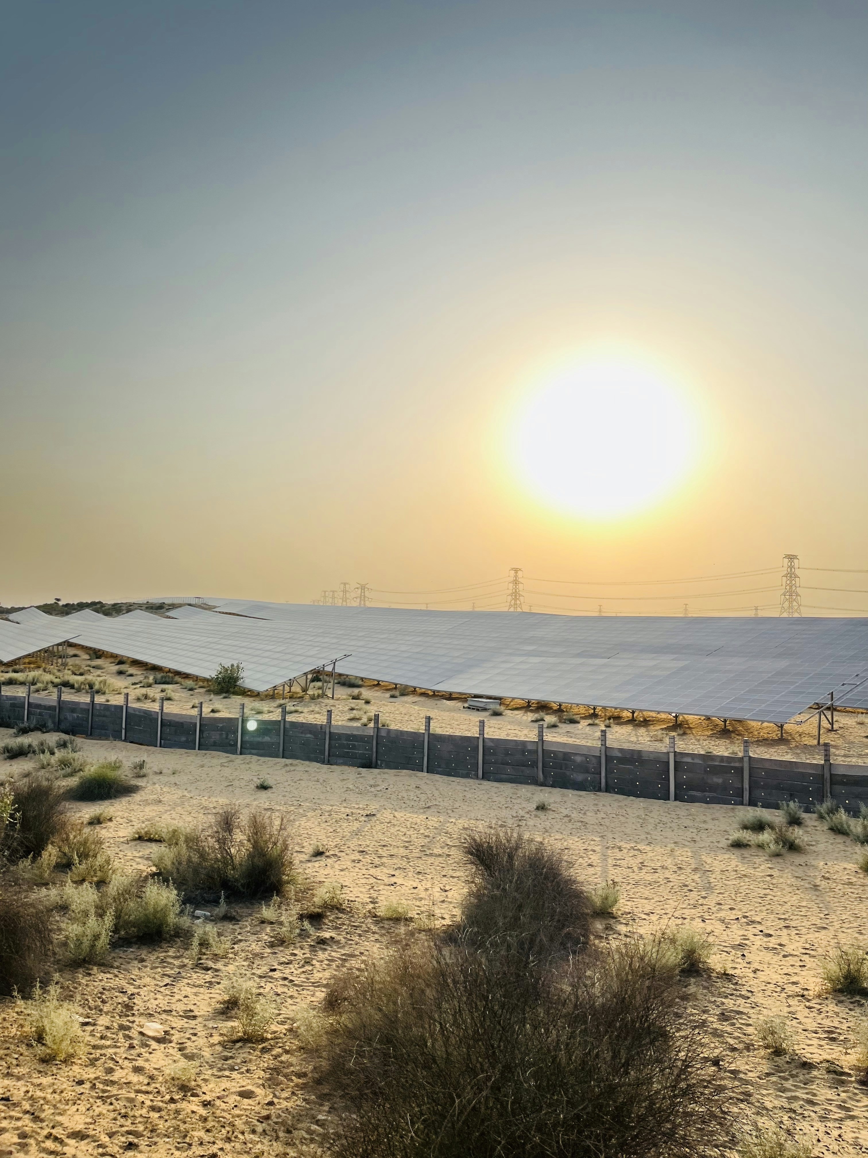ألواح شمسية في صحراء خليجية مع غروب الشمس