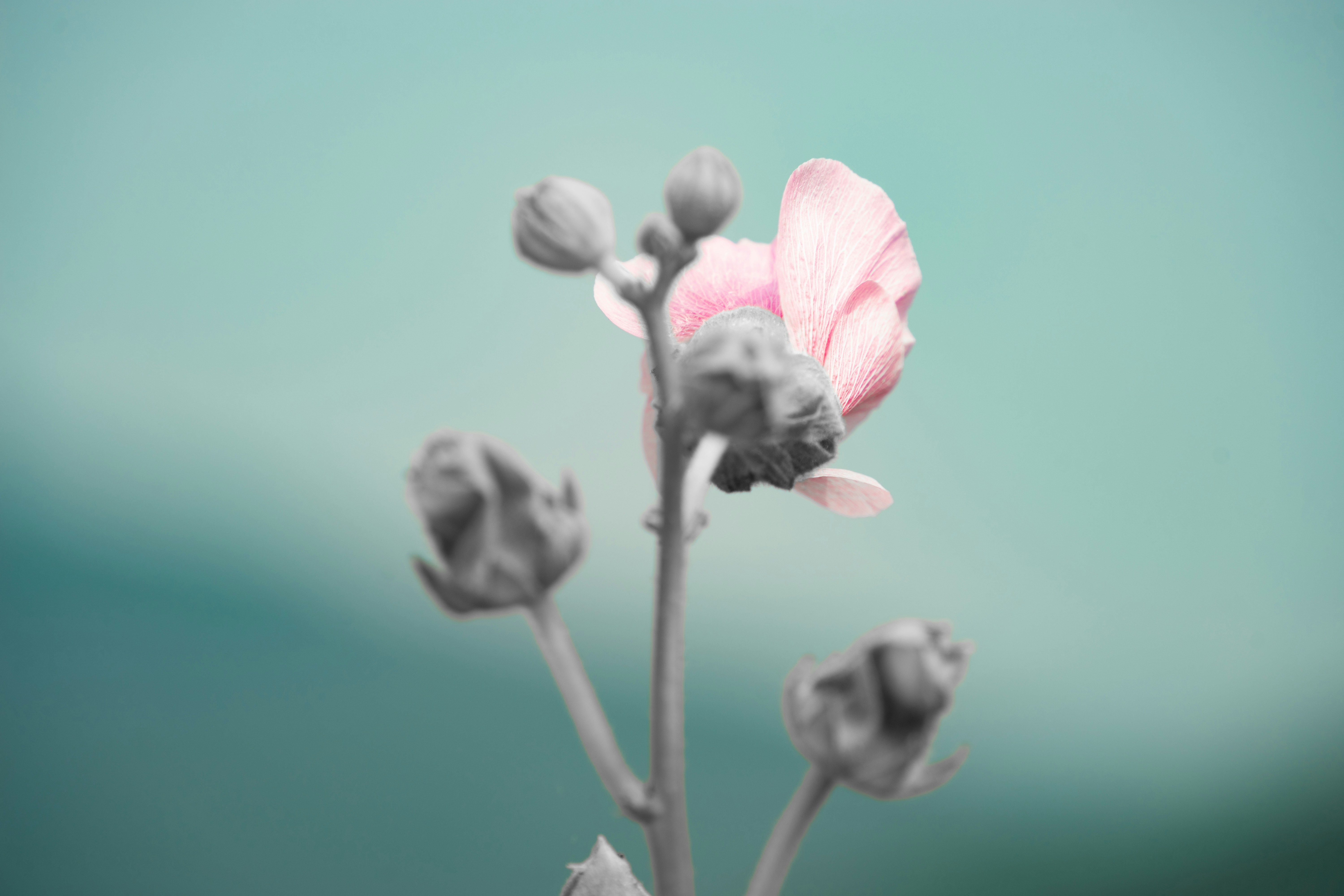 Photo by fourcubes