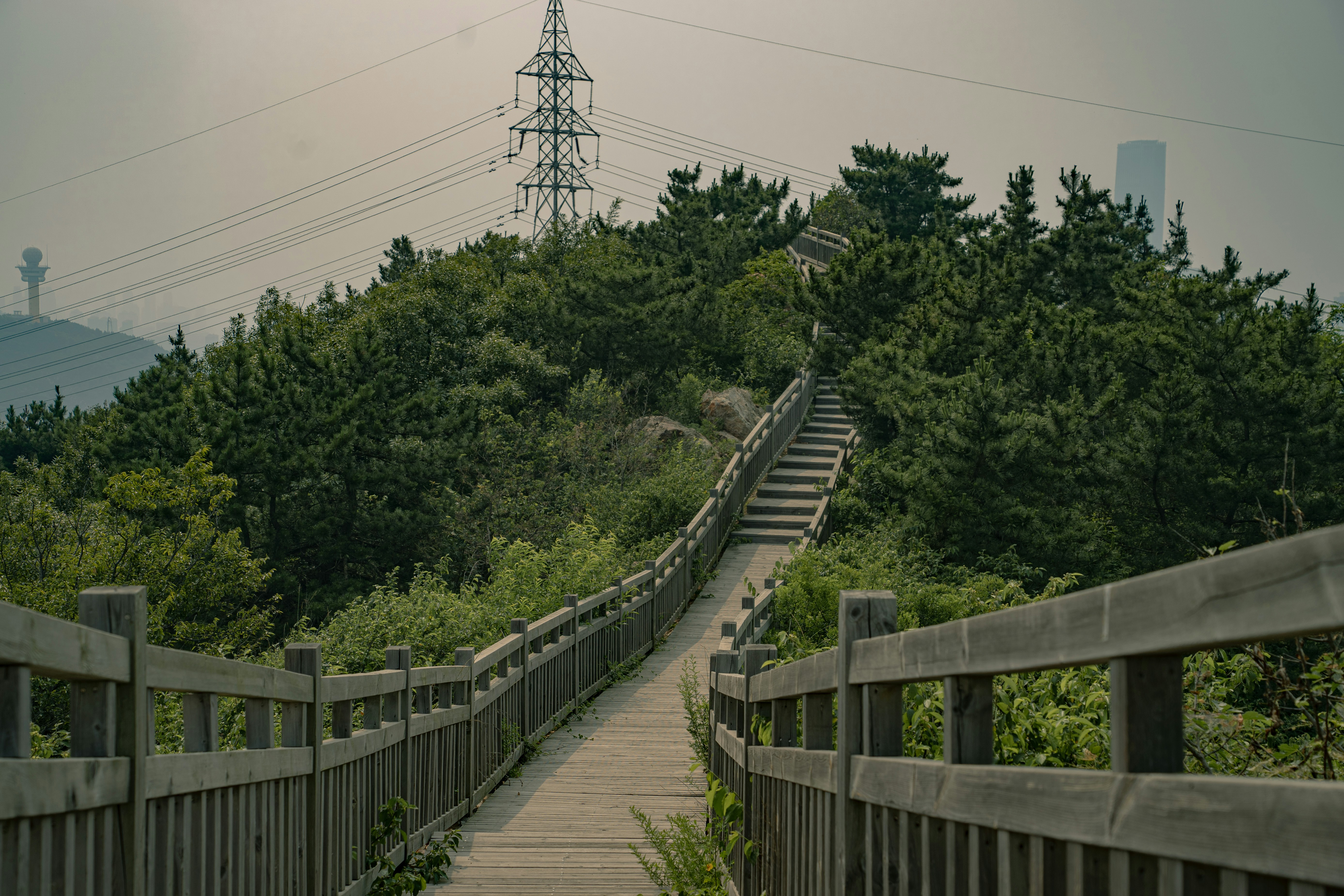 a wooden bridge with trees on either side of it
