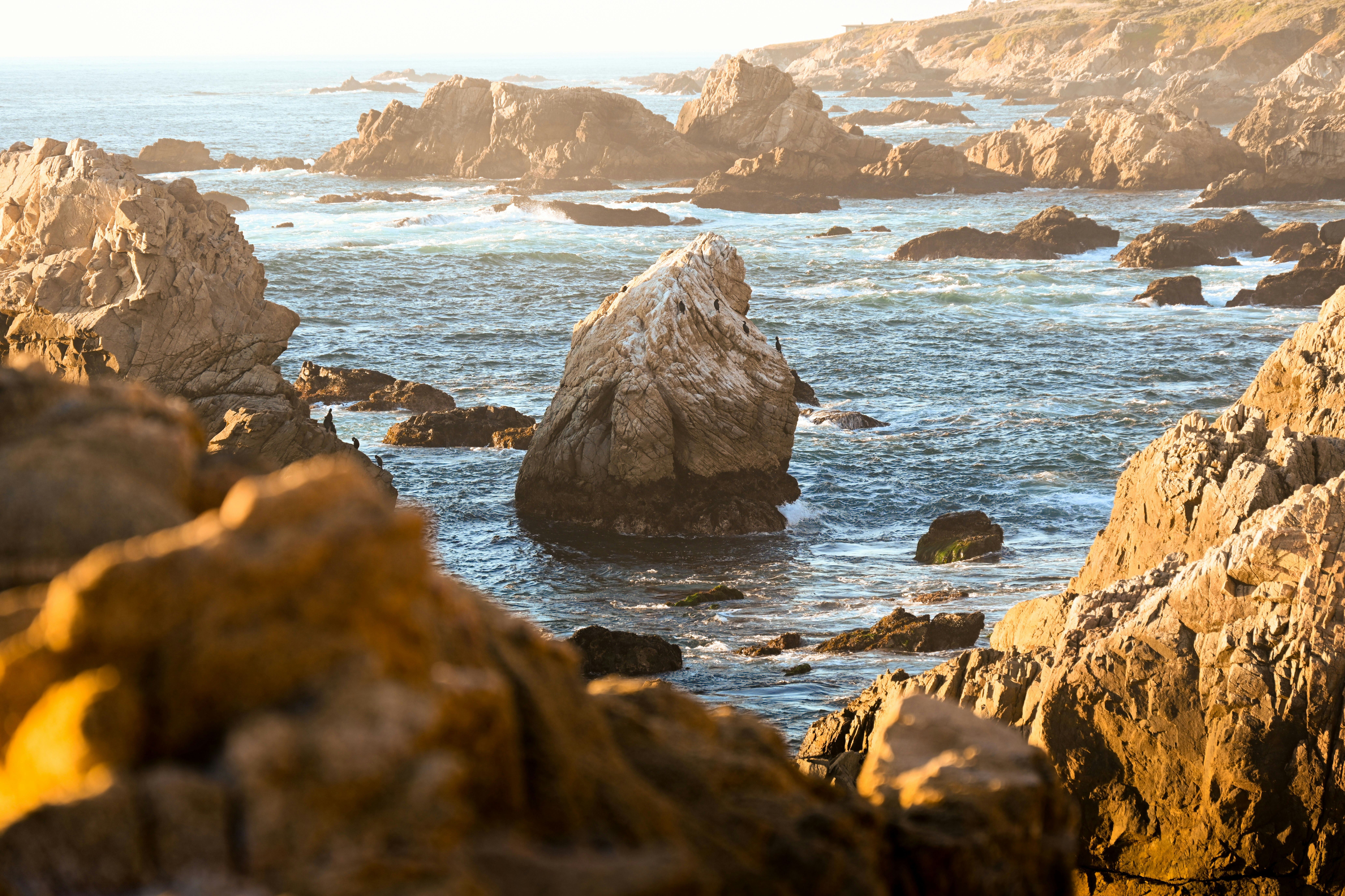 Photo by marybrennan