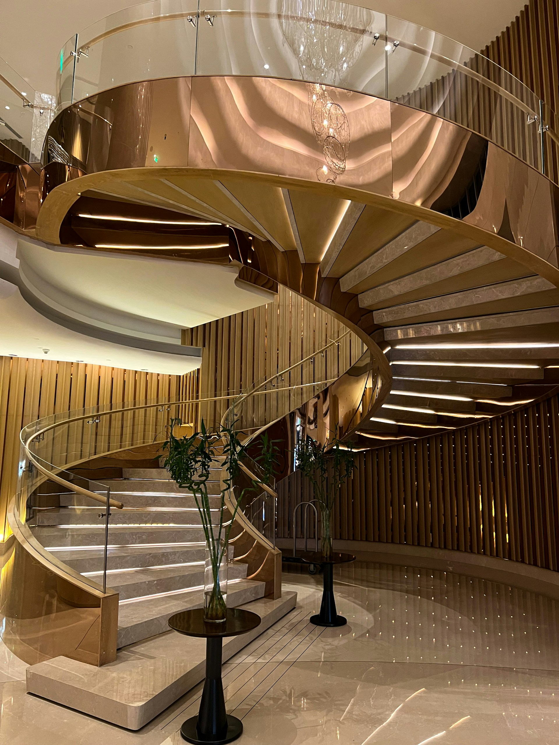 woman holding dried flower