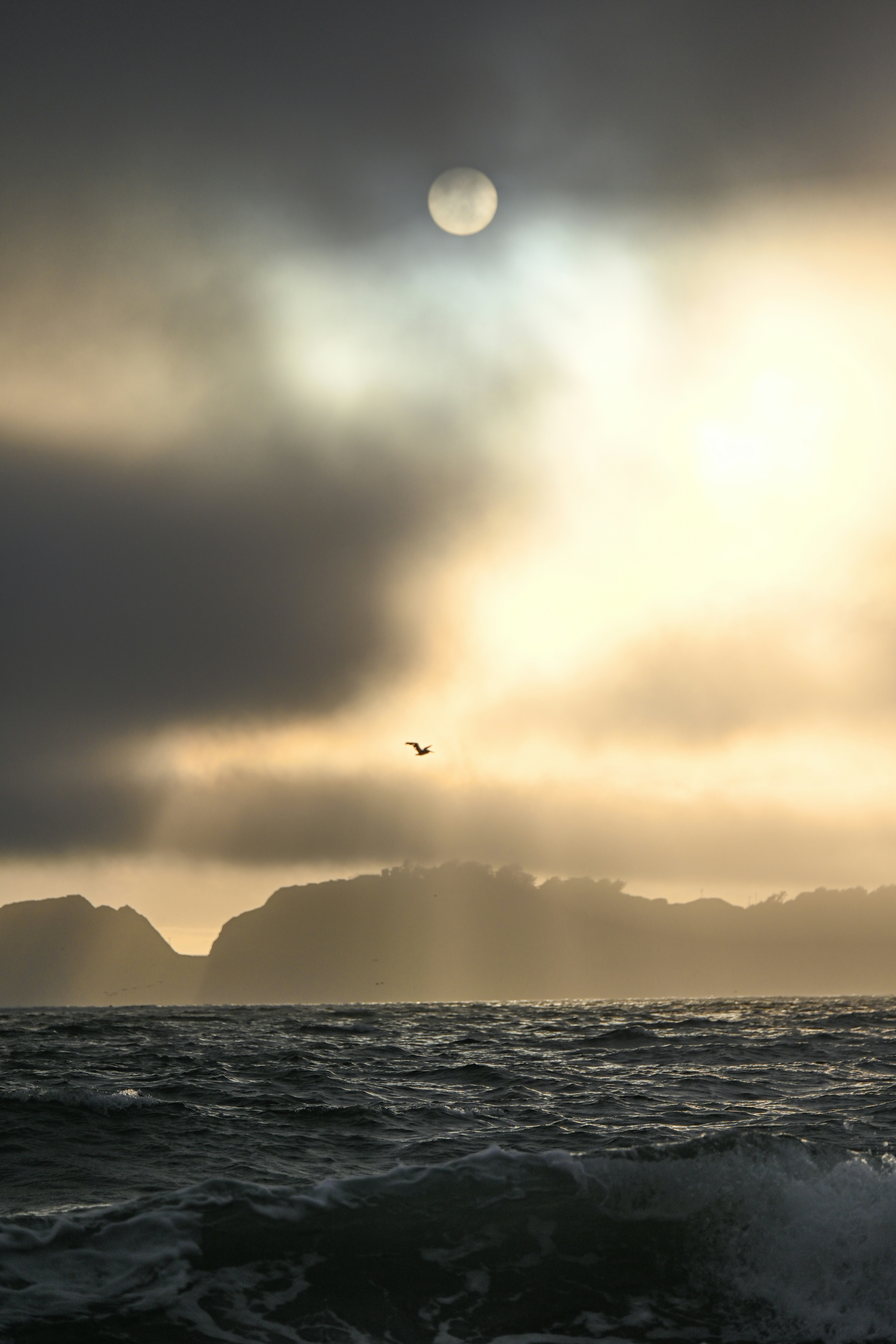 Photo by marybrennan