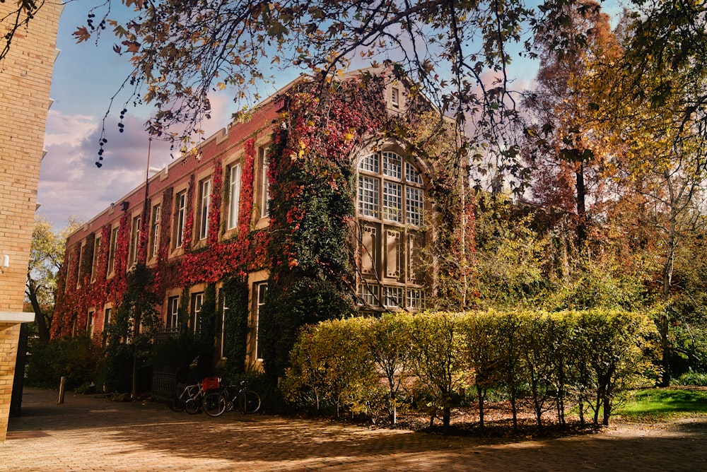 a building with trees in front of it