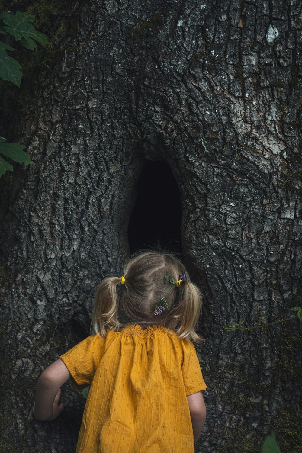 a girl looking at a tree