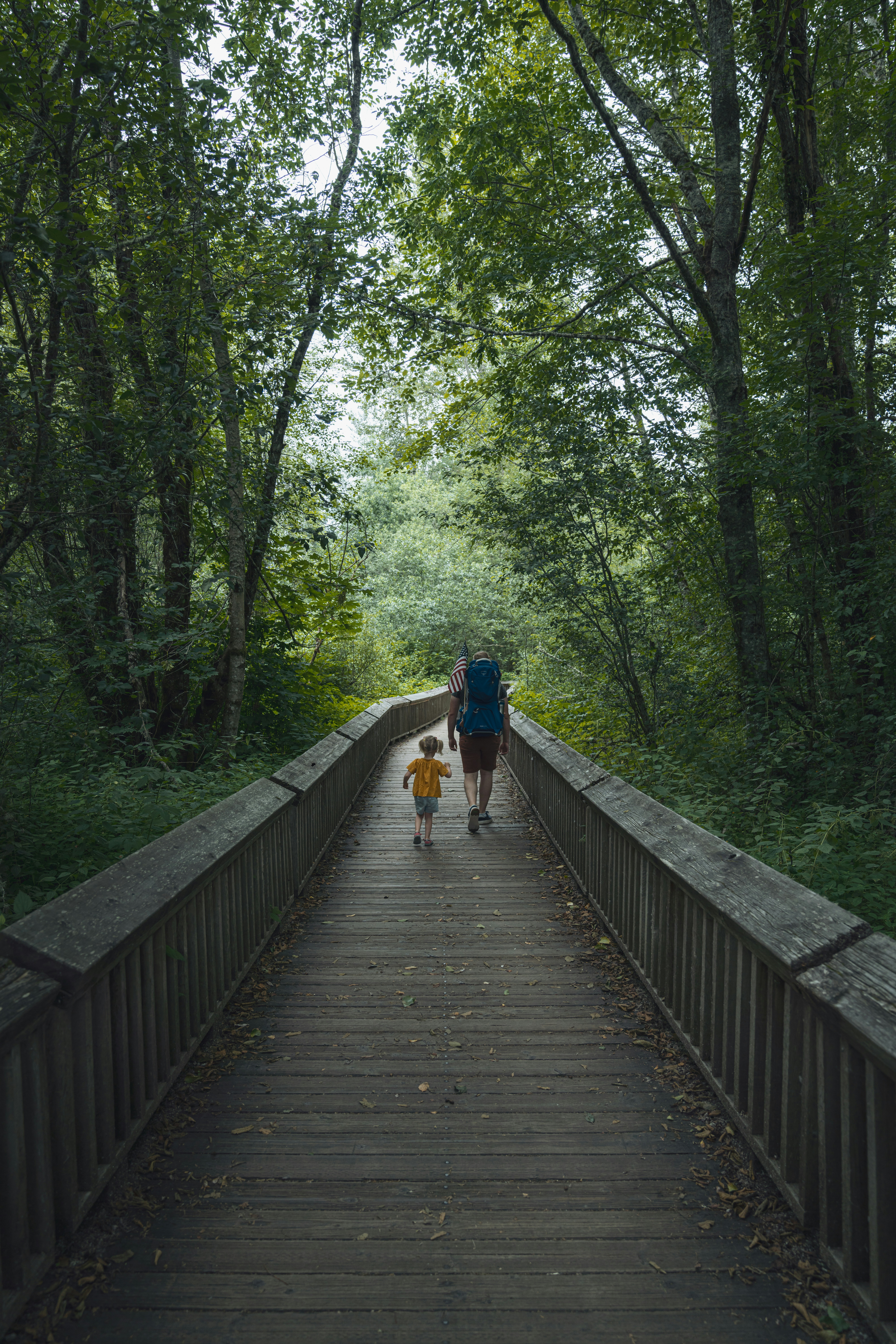 Photo by lauraintacoma