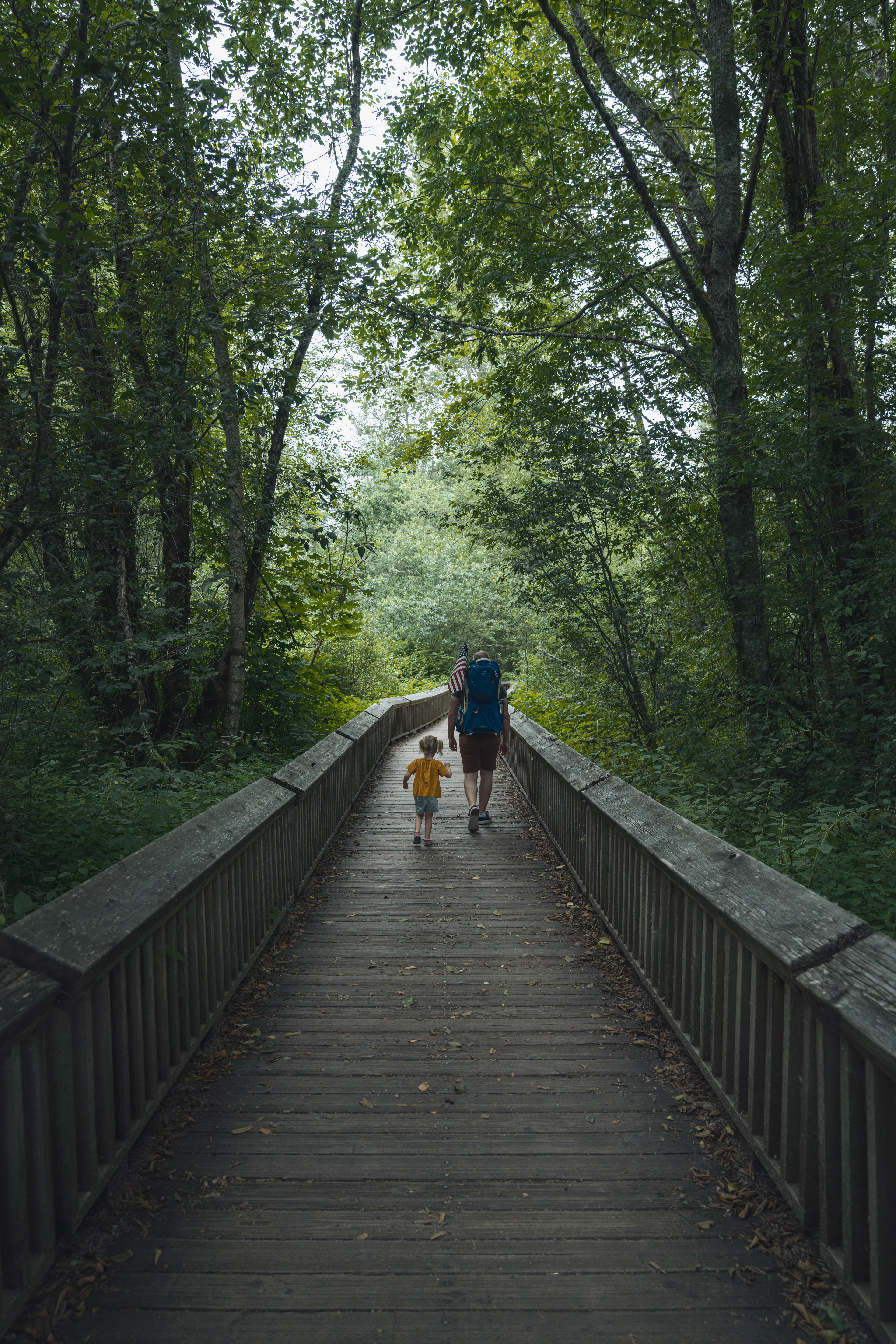 A parent and child walking along a forest boardwalk