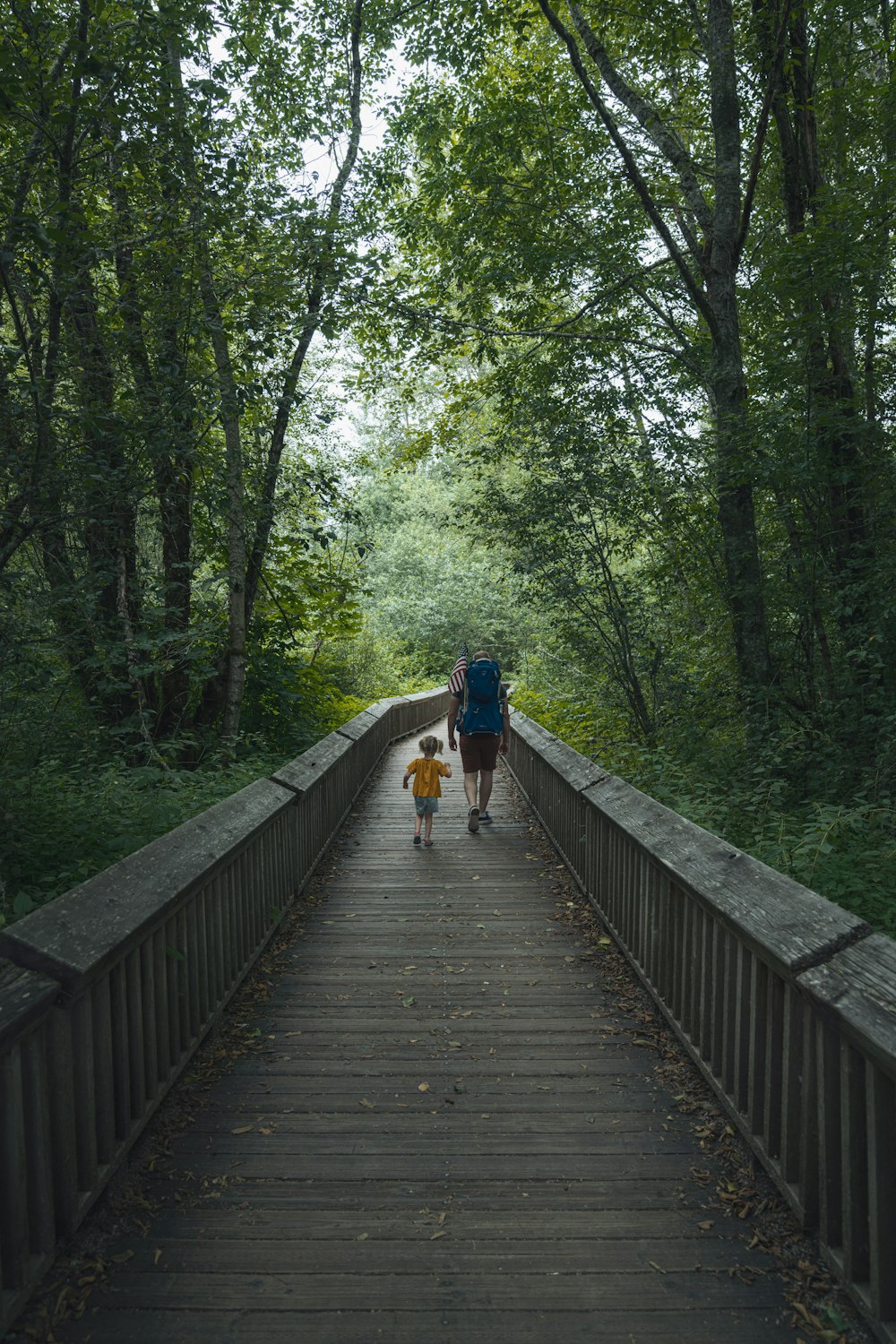 a person and a child walking on a wooden bridge in the woods