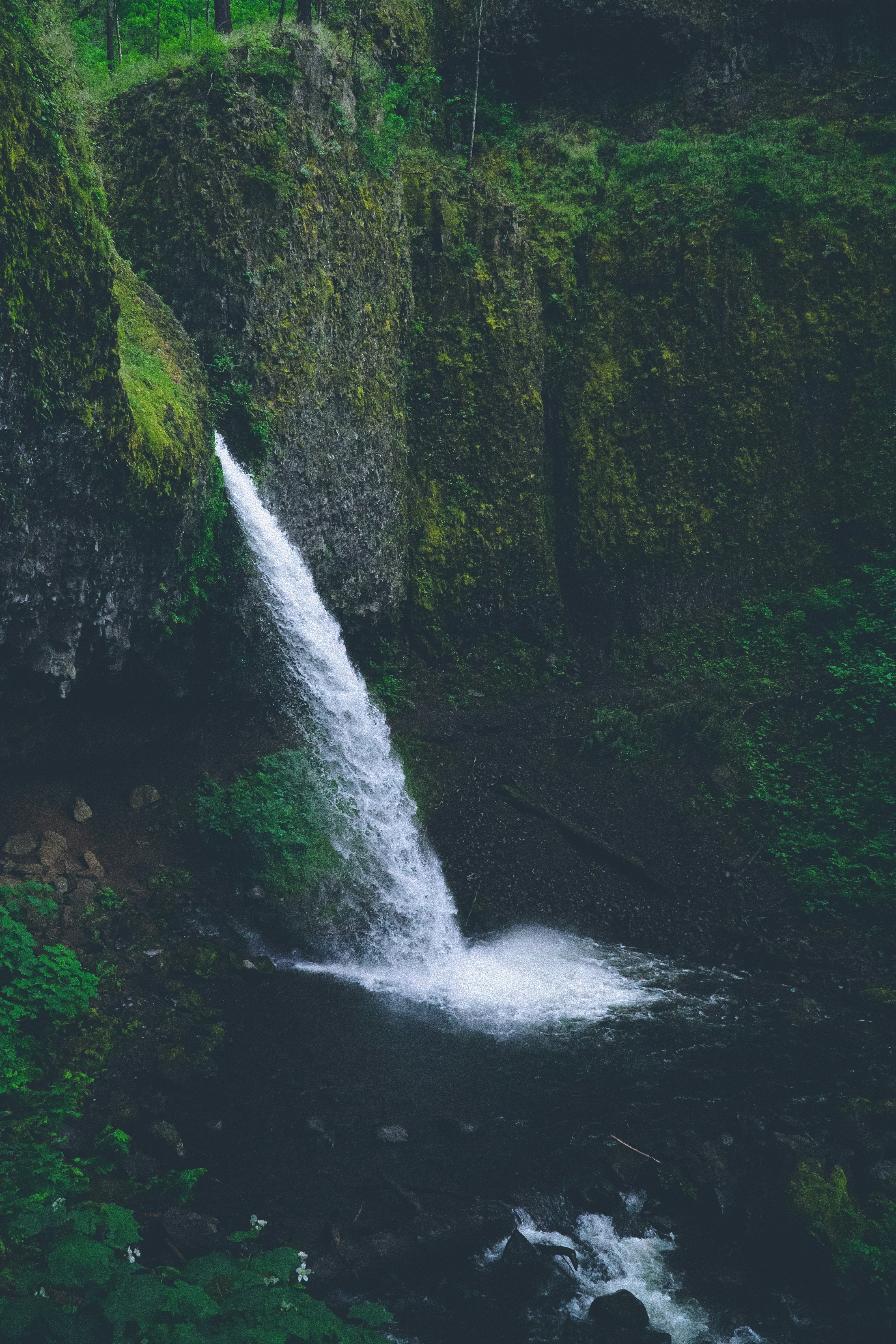 Photo by jewadalnabi