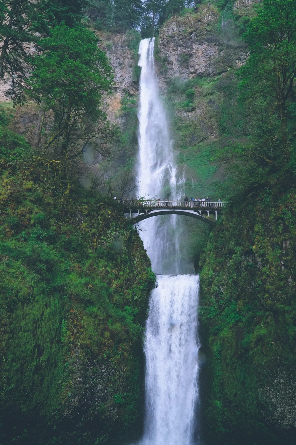 Multnomah Falls over a waterfall