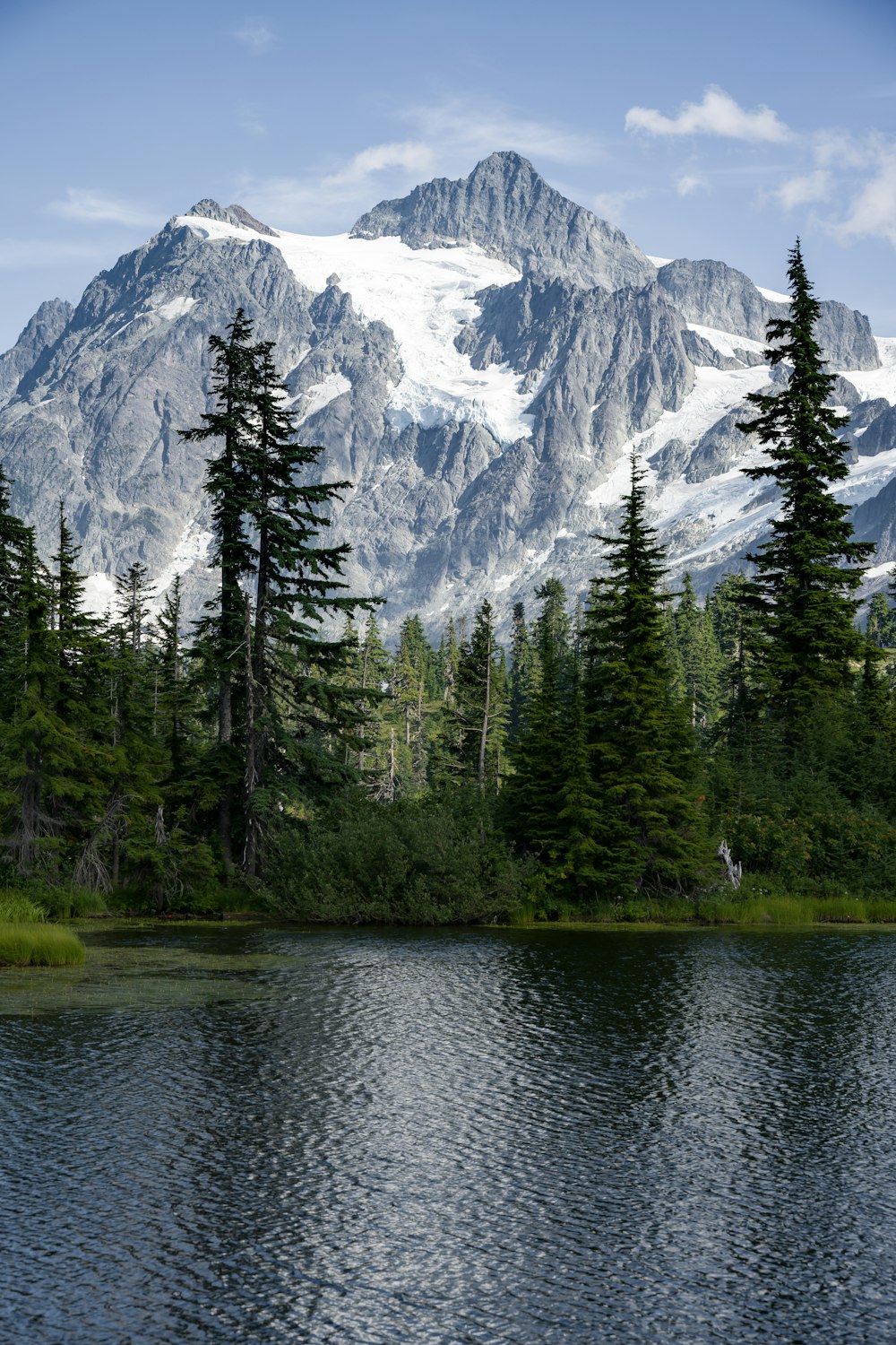um lago com árvores e uma montanha ao fundo