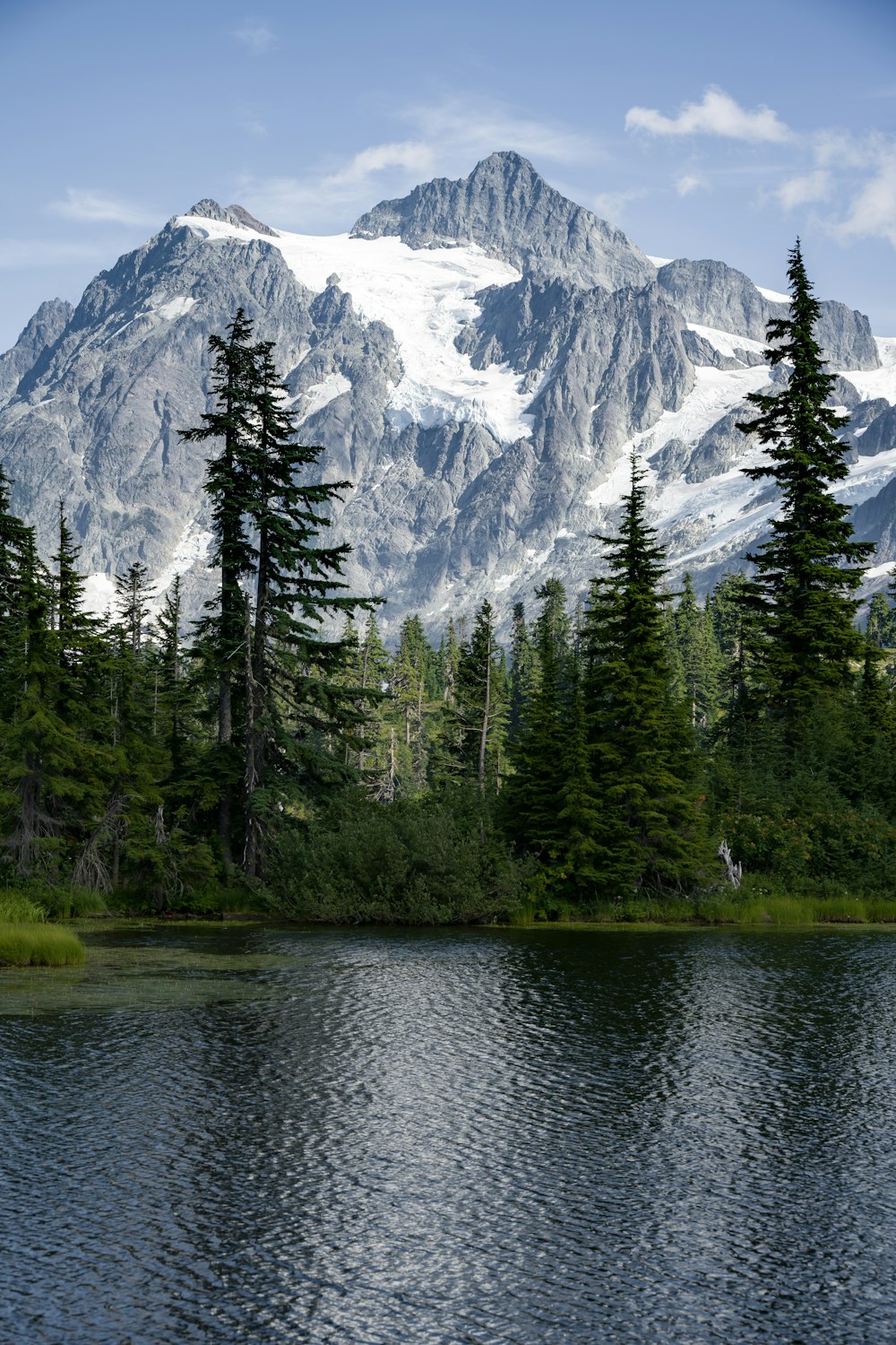 a lake with trees and a mountain in the background