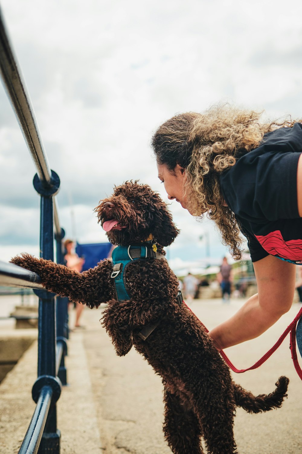 a person holding a dog