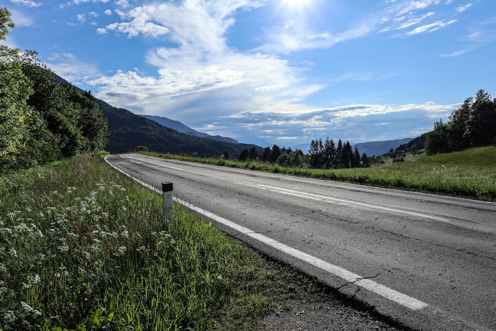 a road with grass and trees on the side