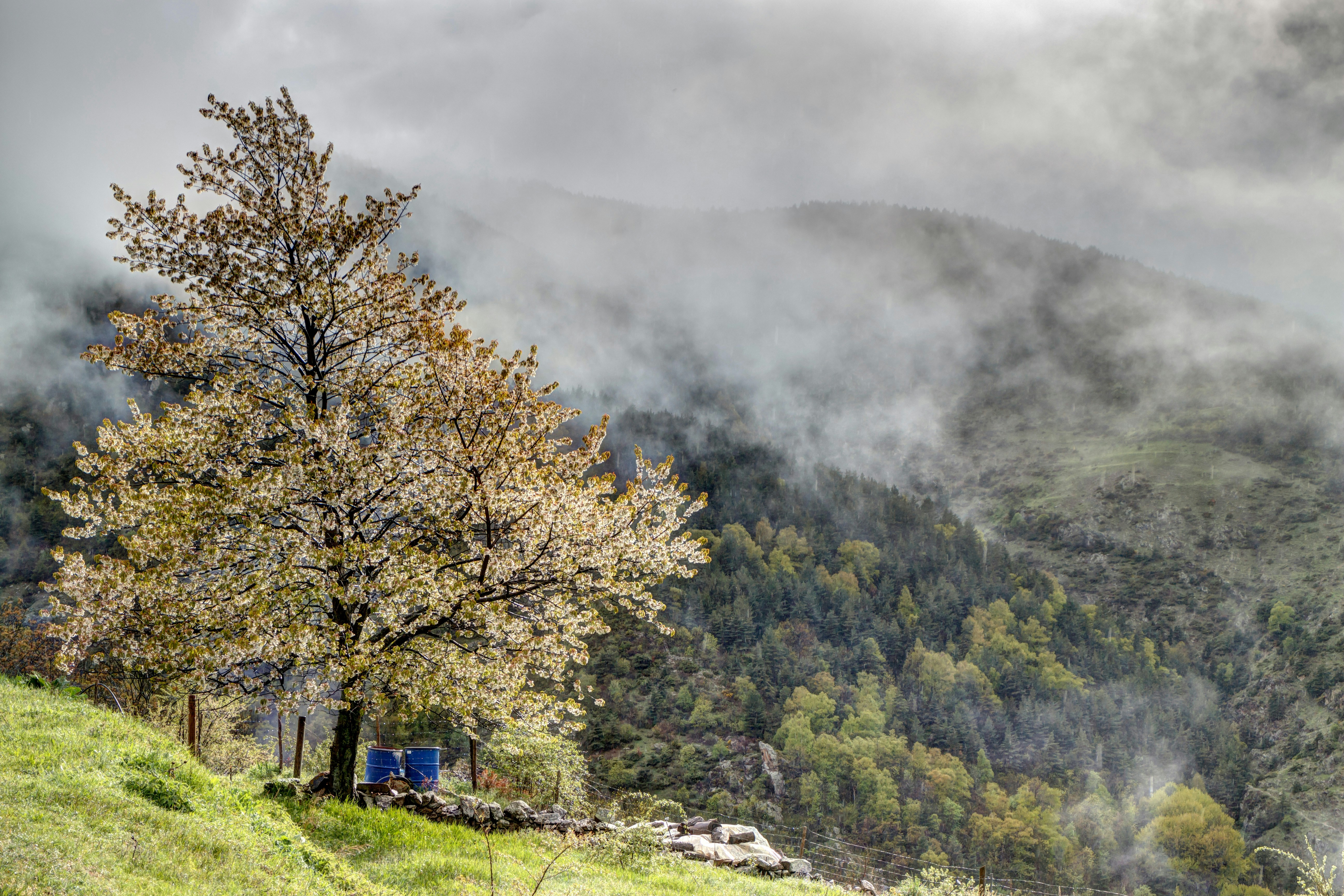 Stay online in the Andorra with a prepaid eSIM from eSIMlii. Instant activation, no roaming charges, and reliable coverage.