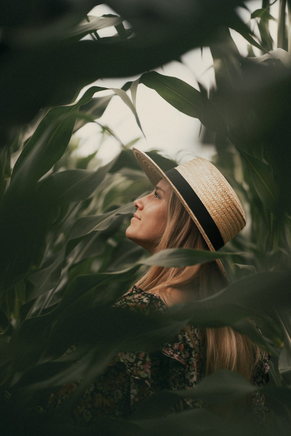 a person in a hat in a tree