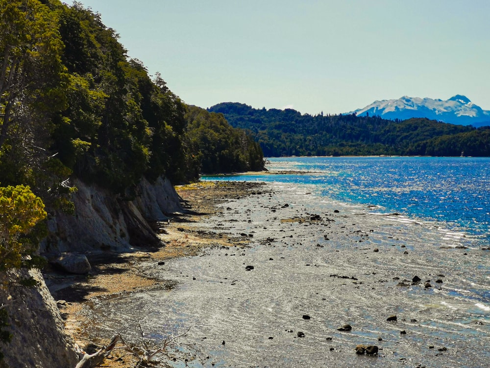 a rocky beach with trees and a mountain in the background