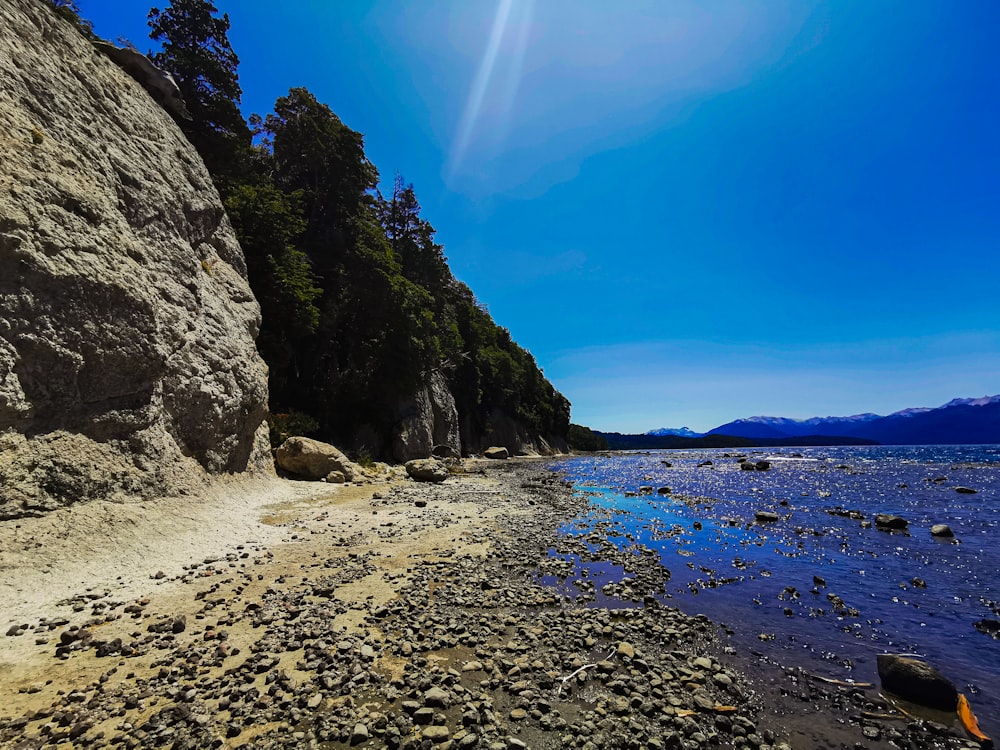 Una playa rocosa con árboles y agua