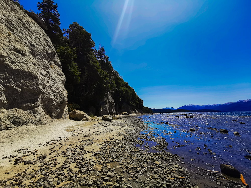 una spiaggia rocciosa con alberi e acqua