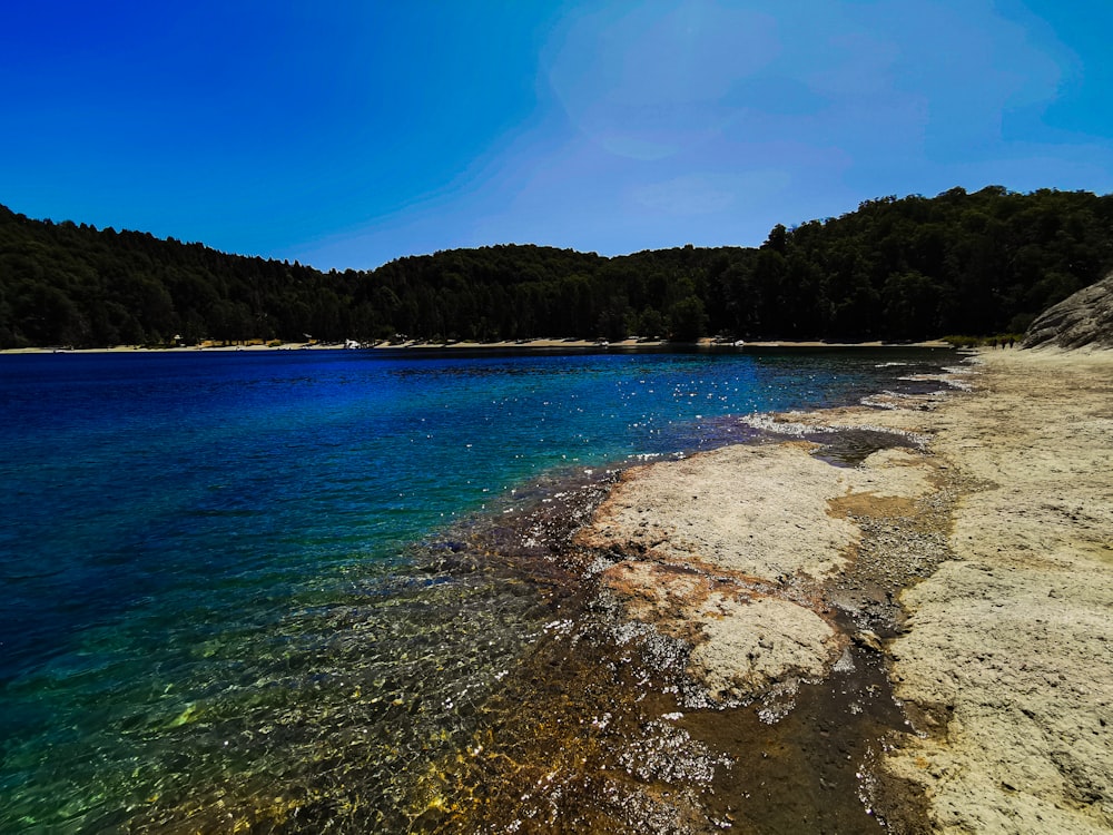 uma praia com um corpo de água e árvores ao fundo