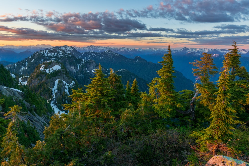 a landscape with trees and mountains