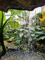 A peaceful waiting lounge featuring plants and gentle water sounds.