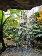 A serene wellness environment with earthy tones and plants.