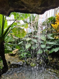 A serene wellness environment with calming colors and plants.