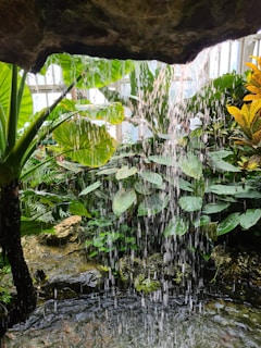 A serene spa room bathed in soft green light with elegant gold accents and lush leafy plants.