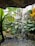 A serene indoor environment with lush green foliage and a small waterfall cascading over rocks into a pool. Large, broad leaves are prominent, and the sunlight filters through a window, highlighting the vibrant greenery.