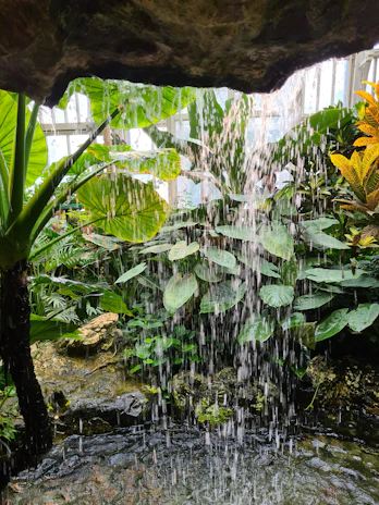 A quiet corner with a small indoor fountain and leafy green plants.