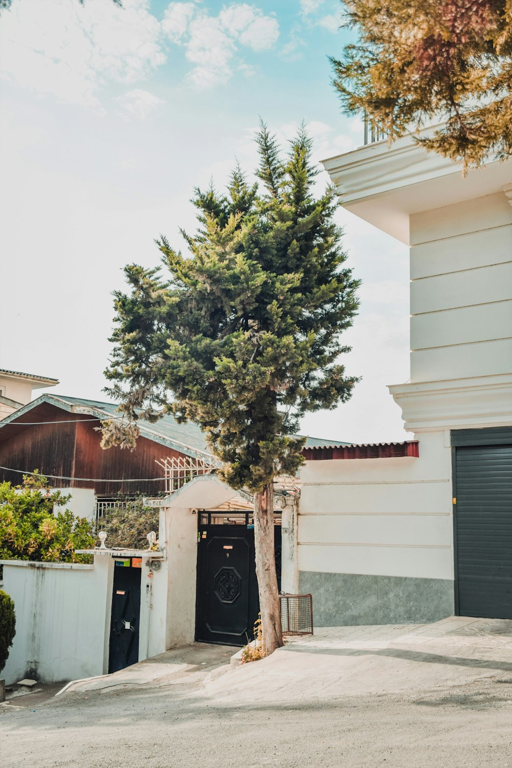 Un árbol frente a un edificio