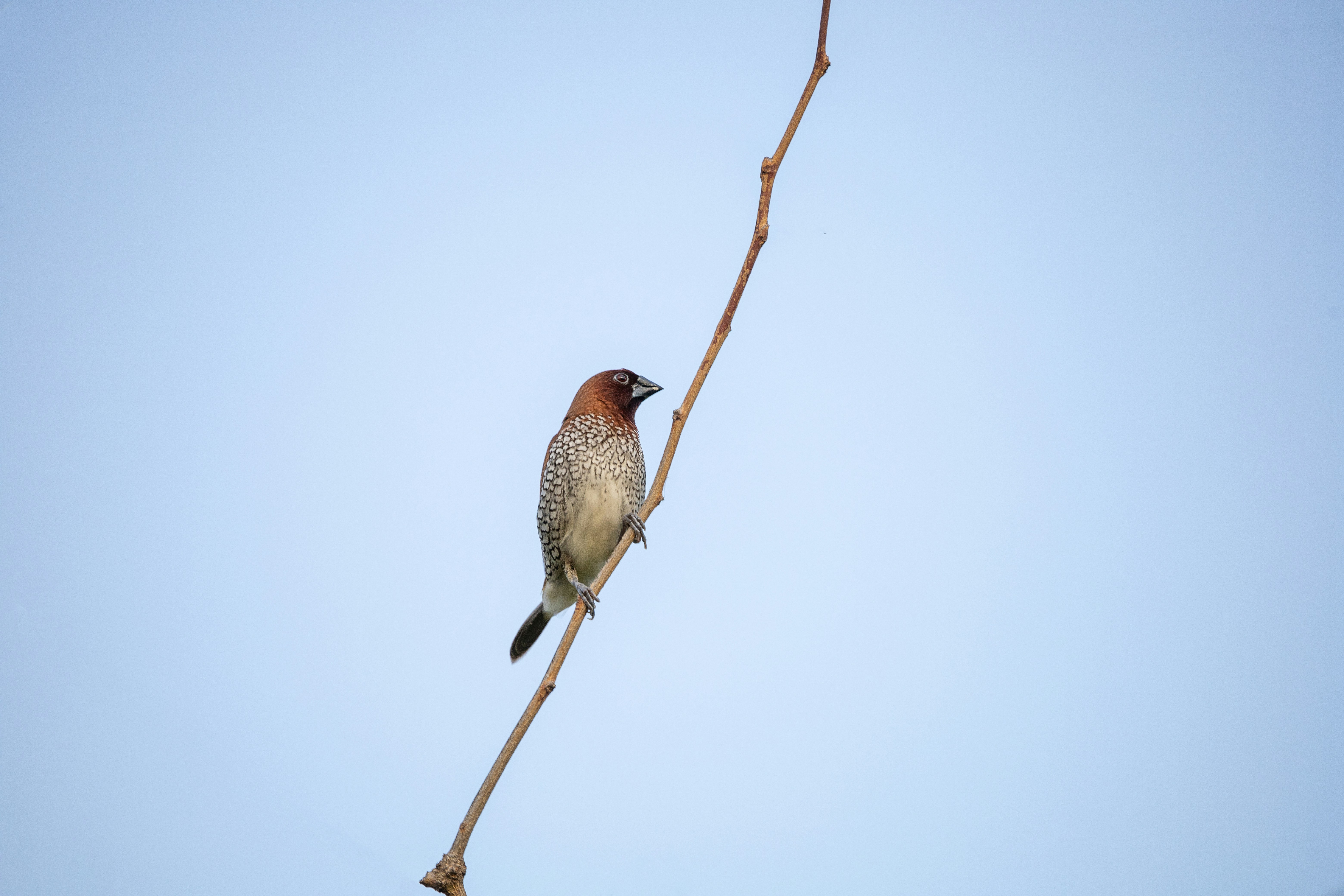 Photo by wildandbeyondbyvivek