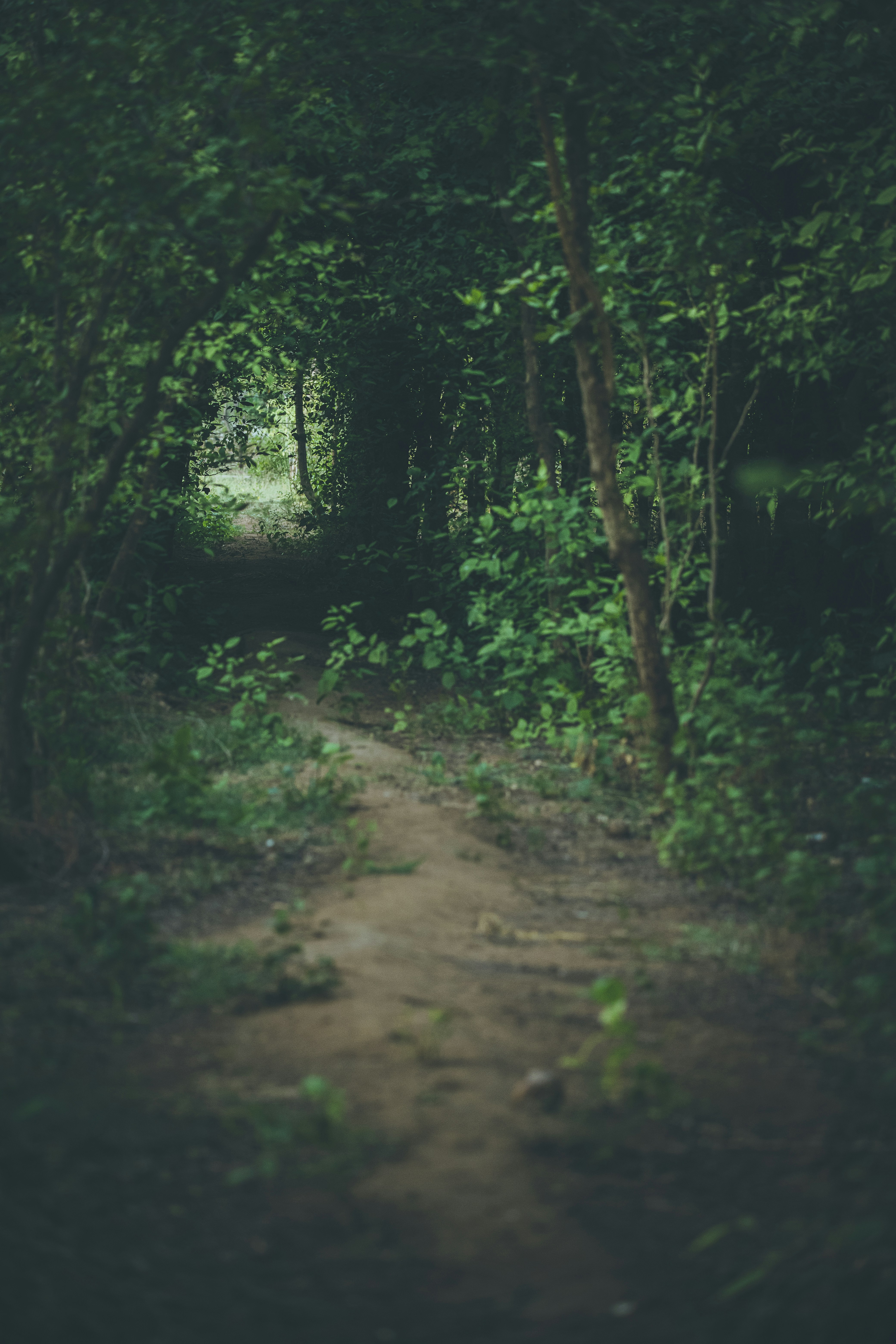 Photo by wildandbeyondbyvivek