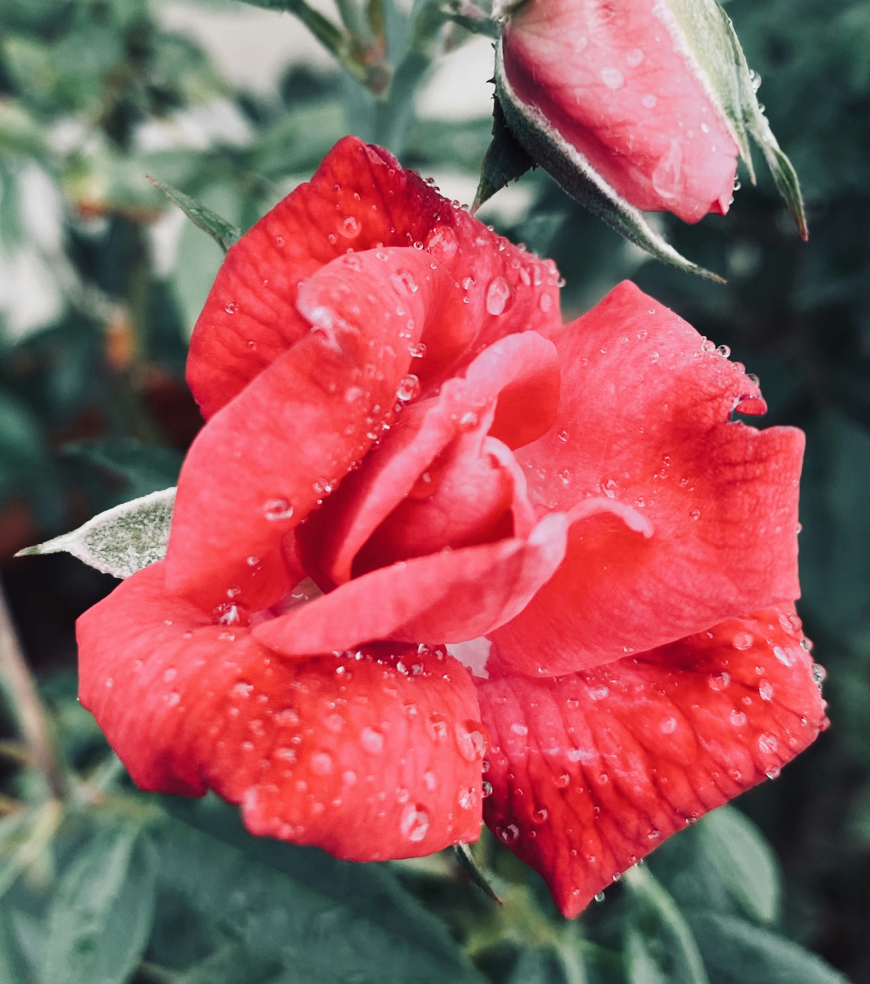 Photo by ramayanamrishika2100
