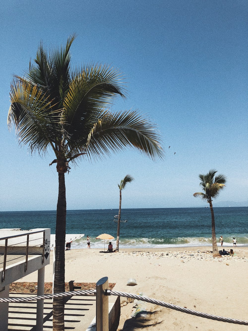 a beach with palm trees and people