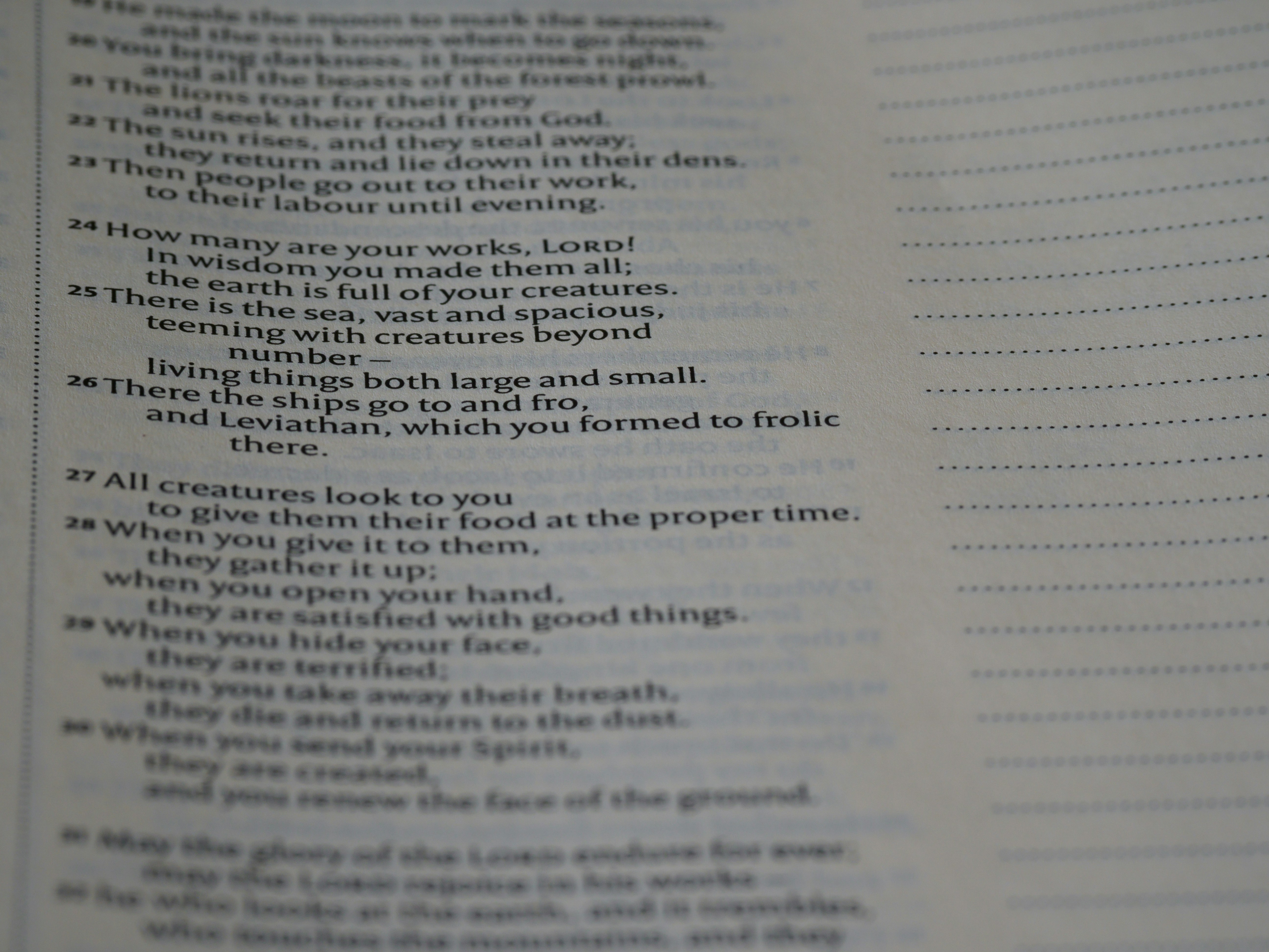 Photo by brett_jordan