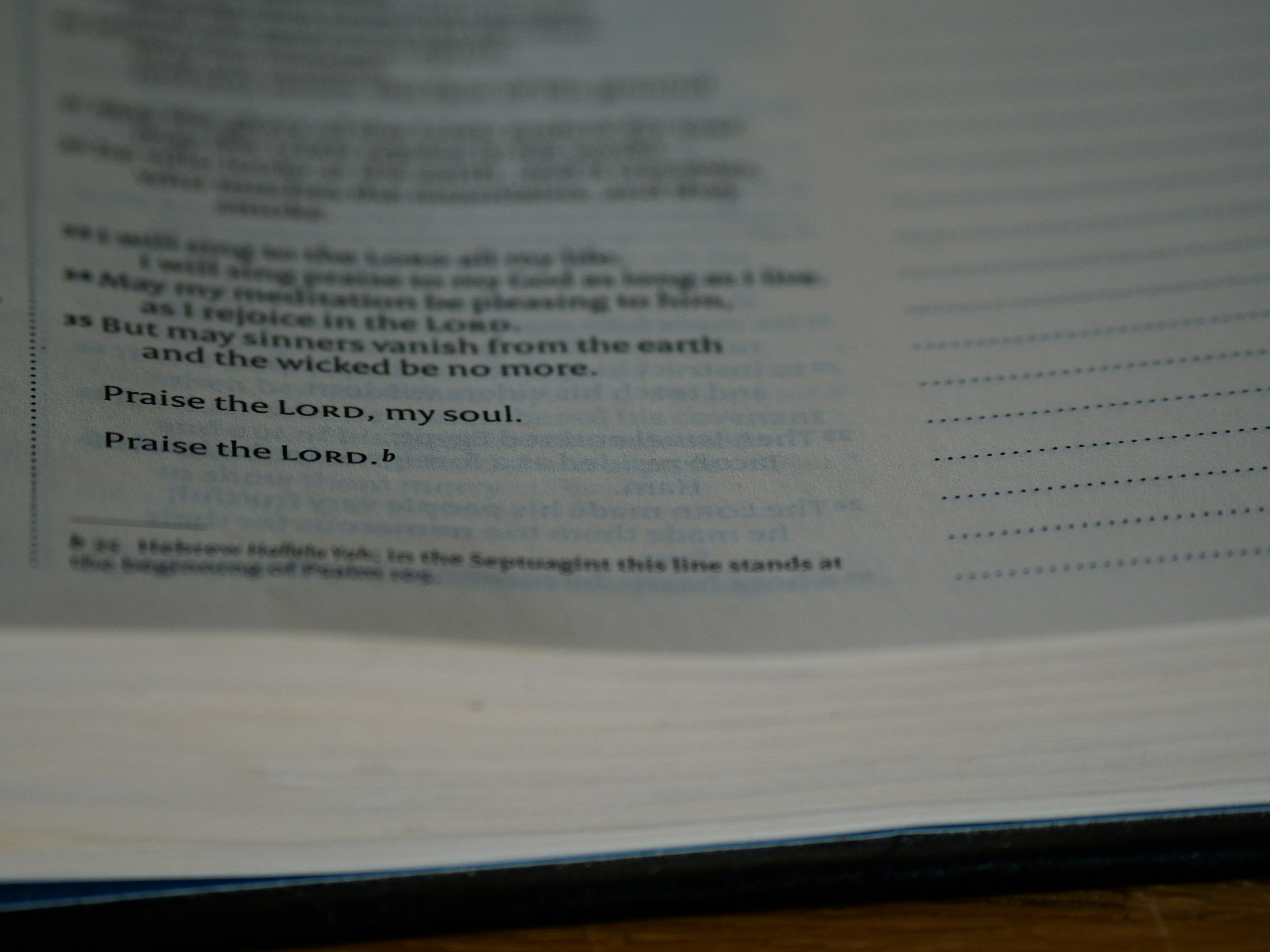 Photo by brett_jordan