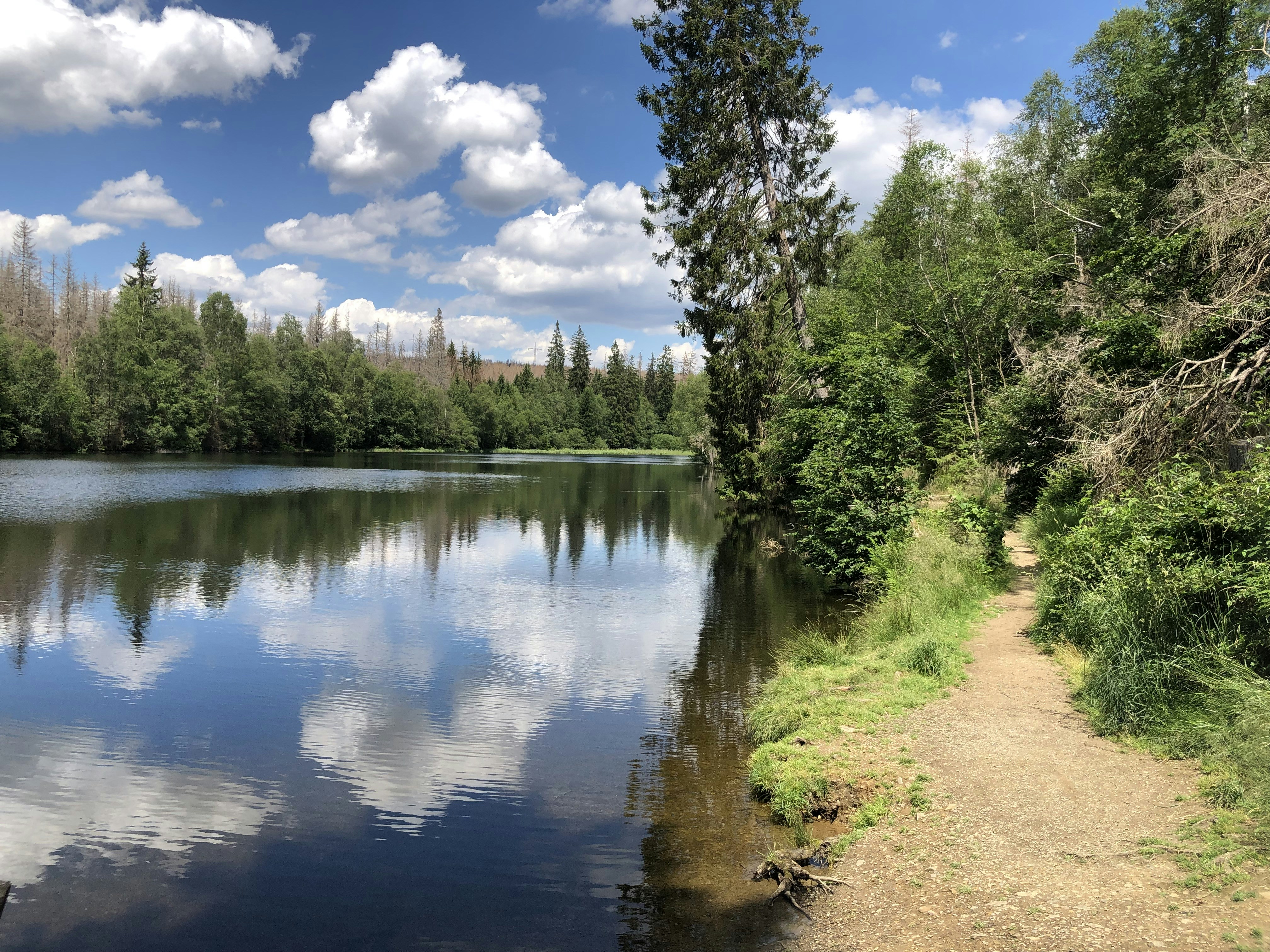 Photo by max_payload