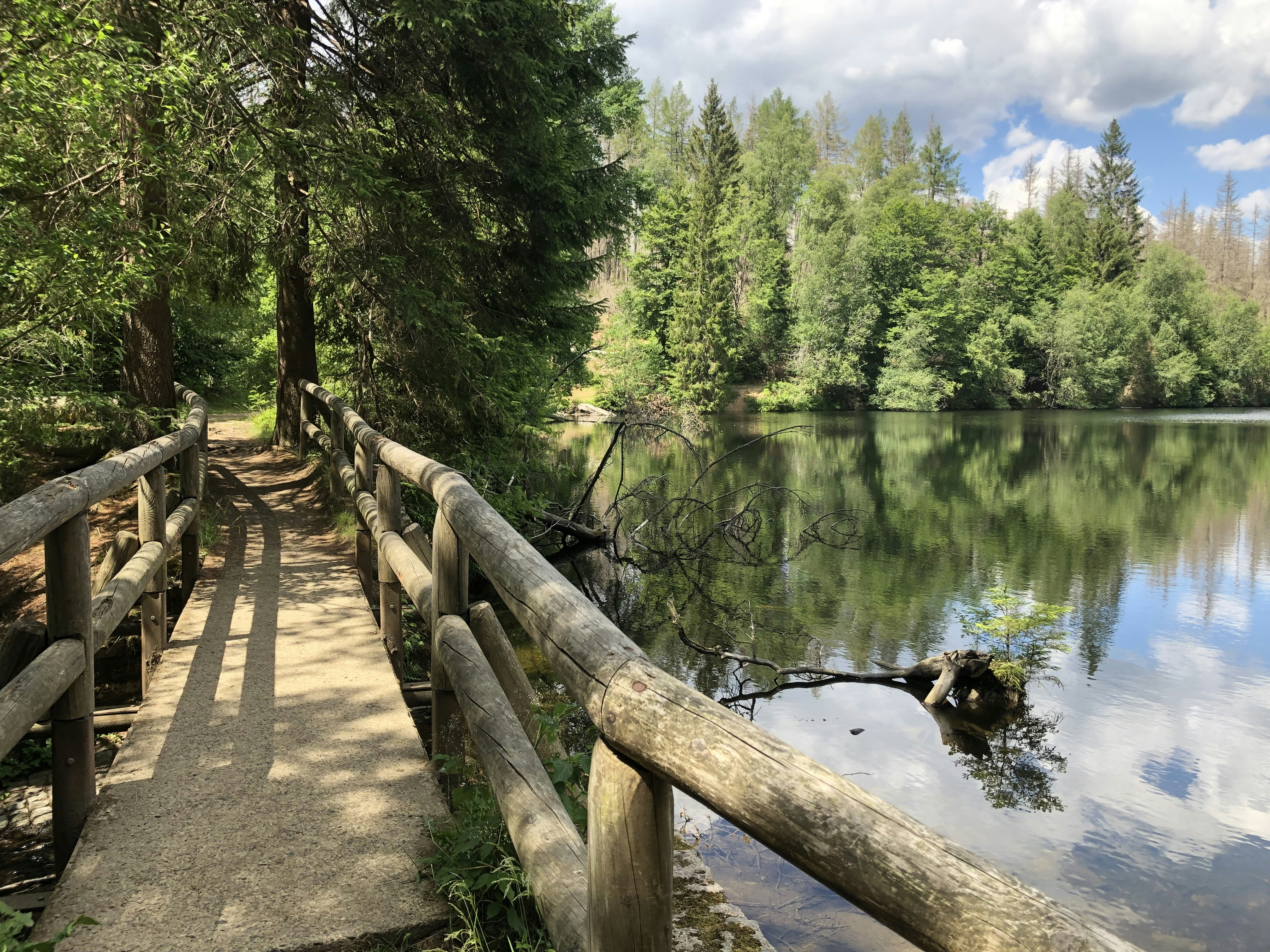 Photo by max_payload