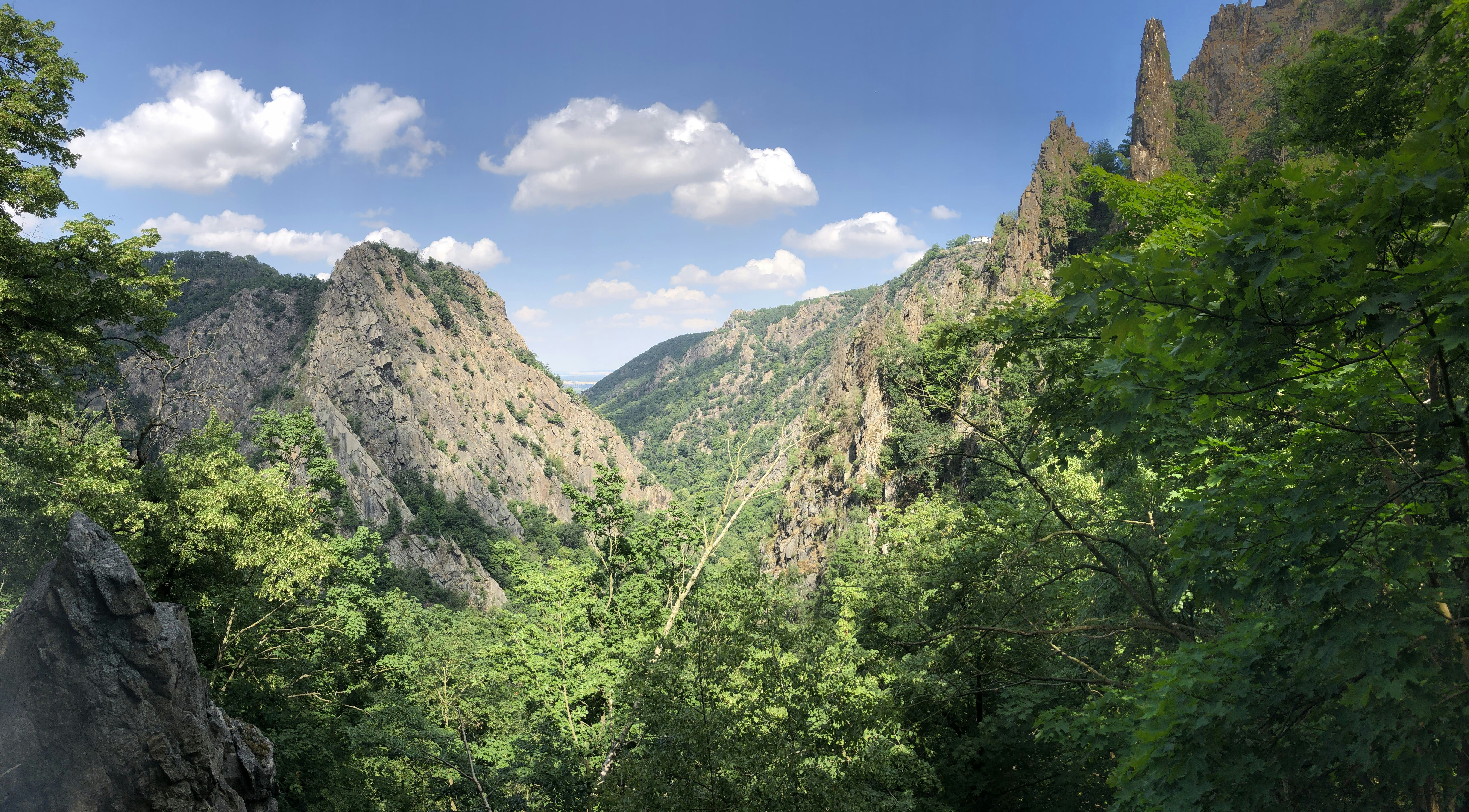 Photo by max_payload