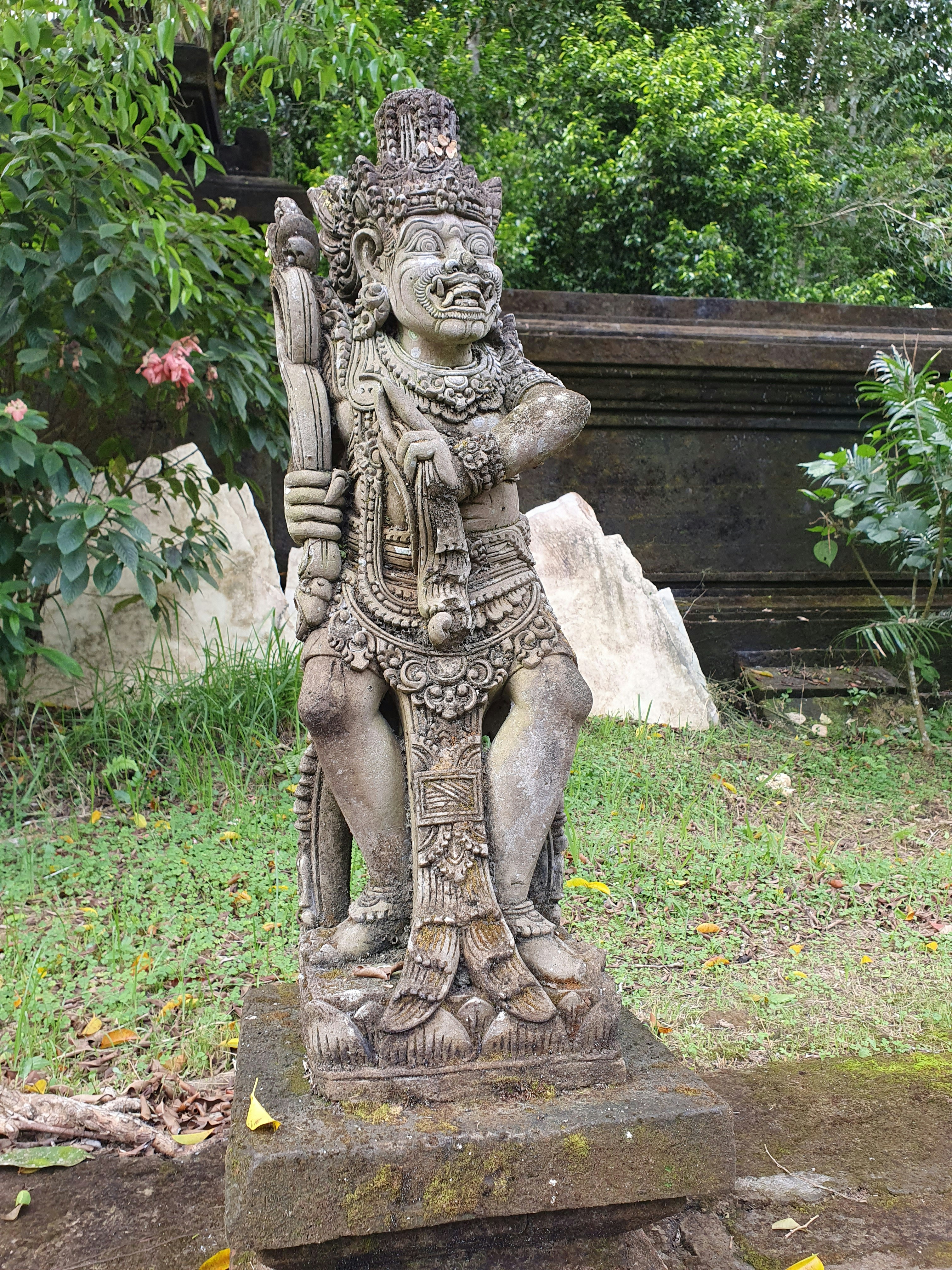 Photo by irina_badea