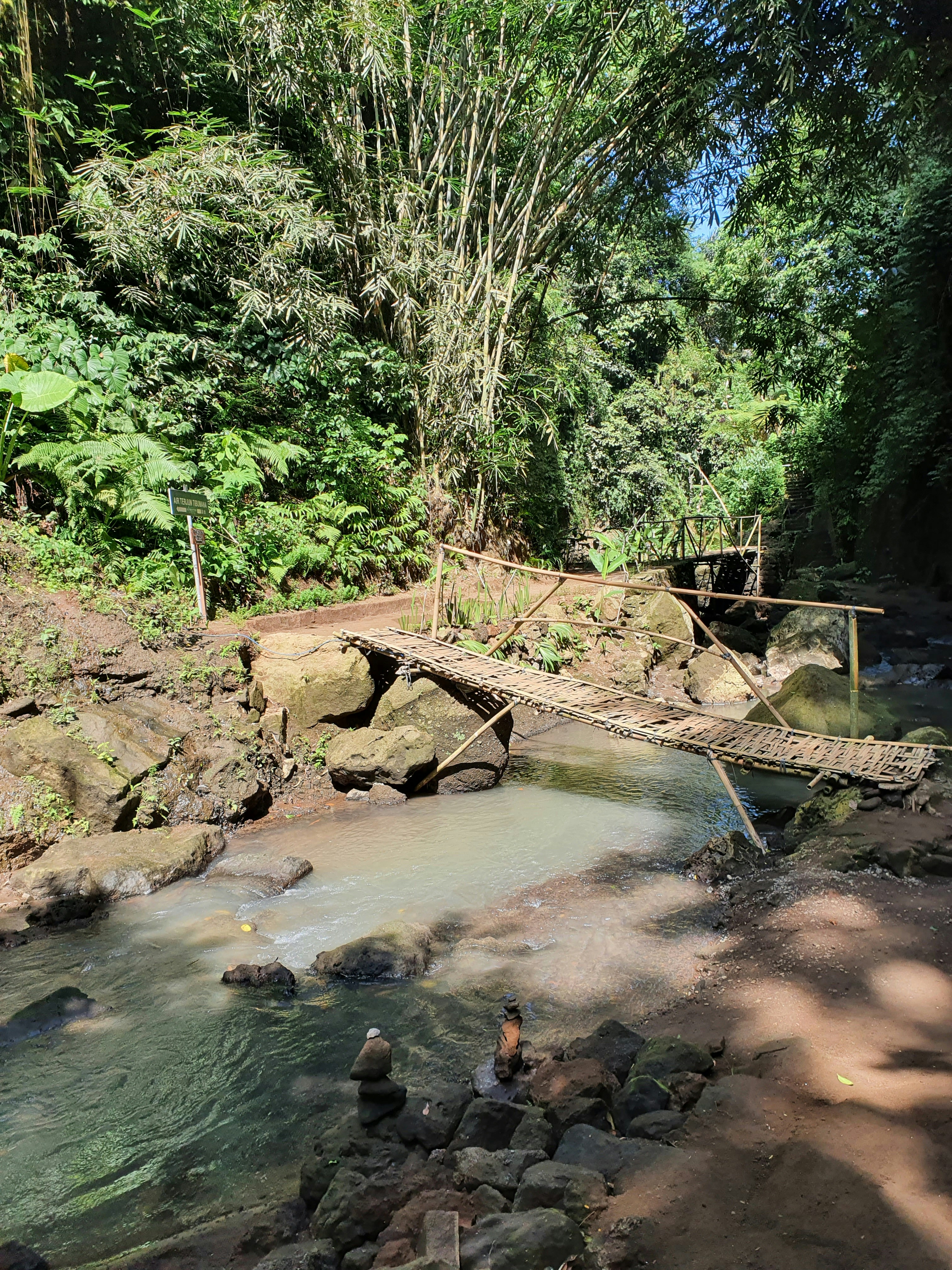 a stream with rocks and trees