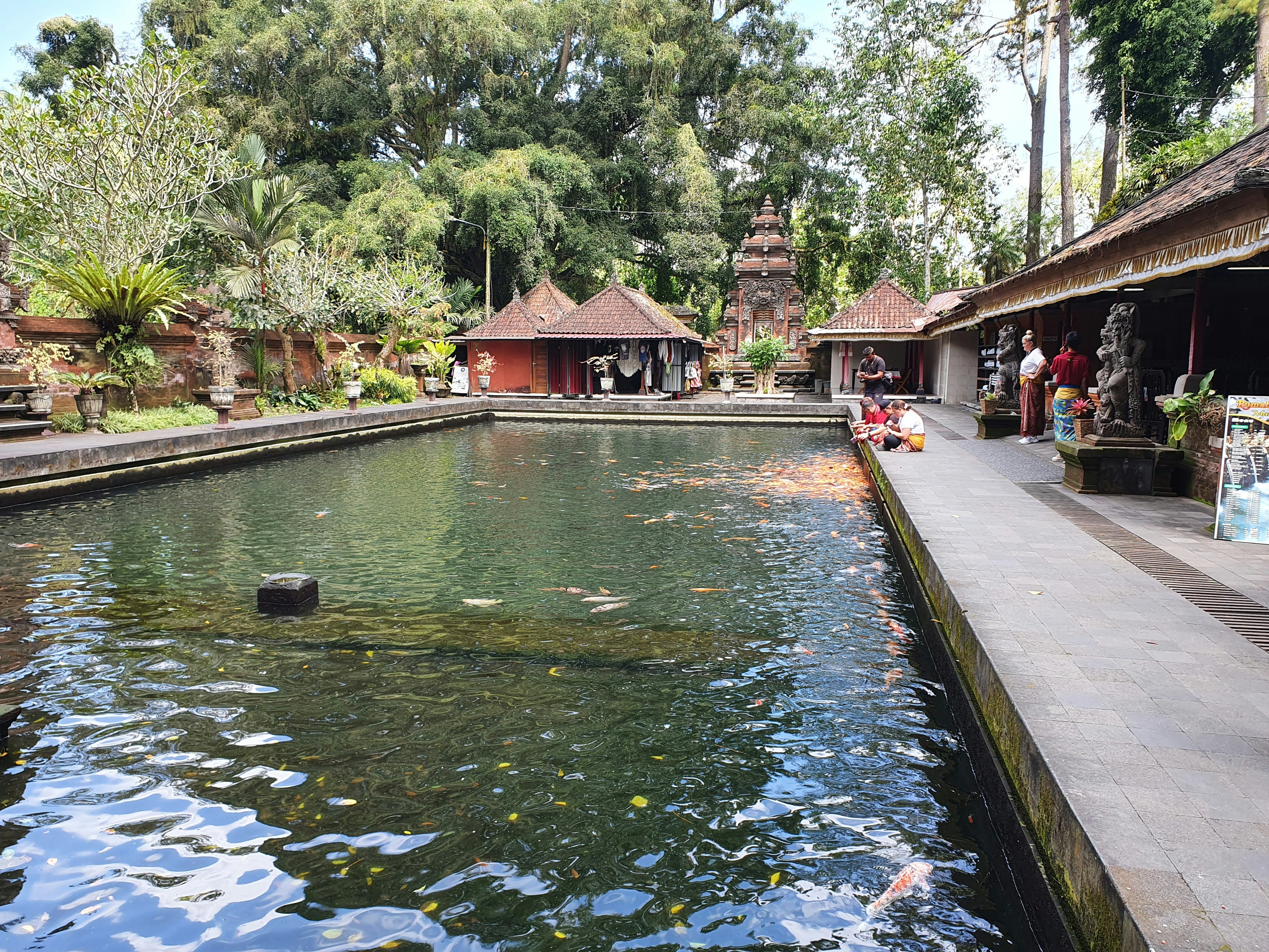 a body of water with buildings and trees around it