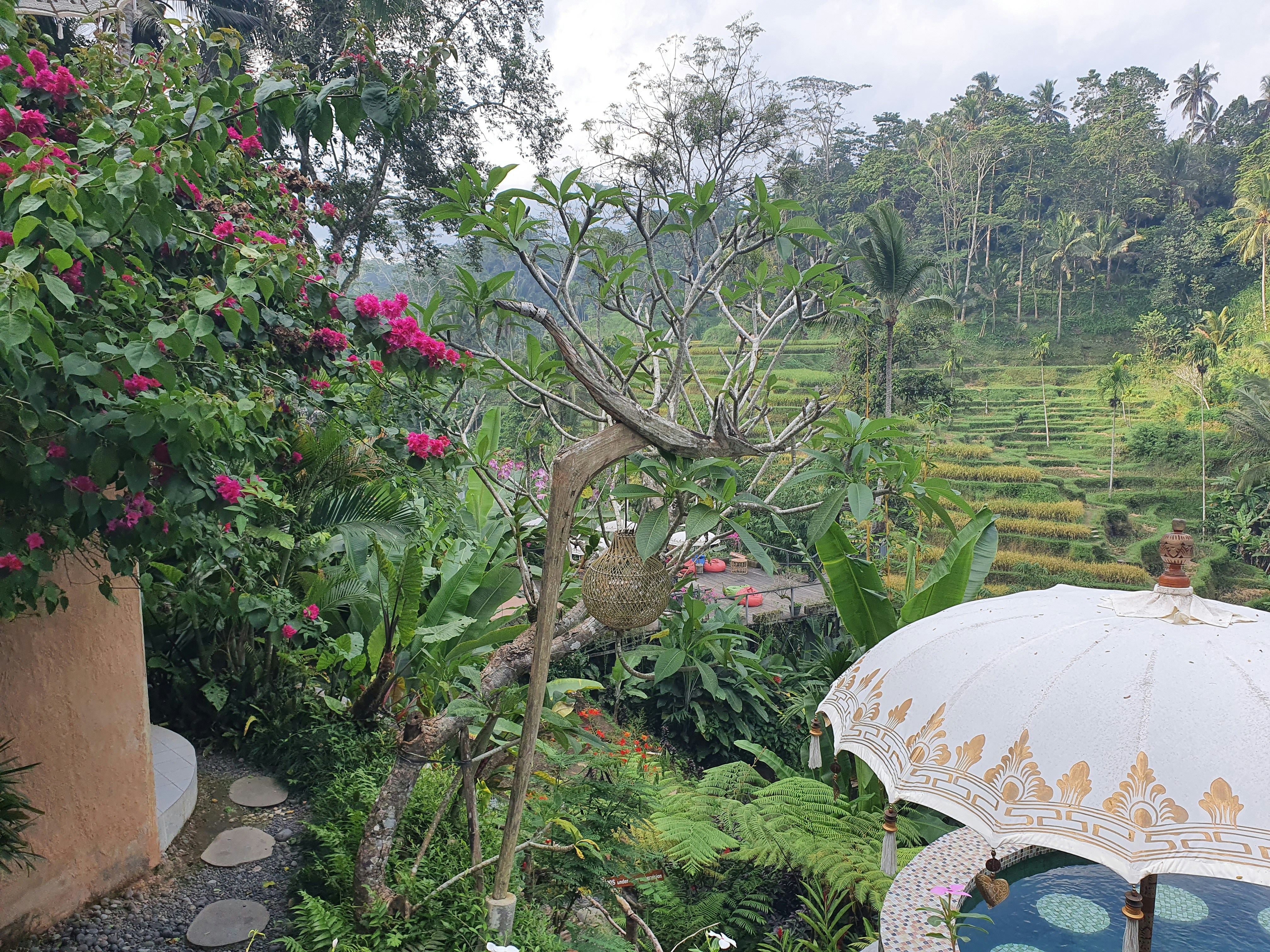 a view of a garden with a house and trees