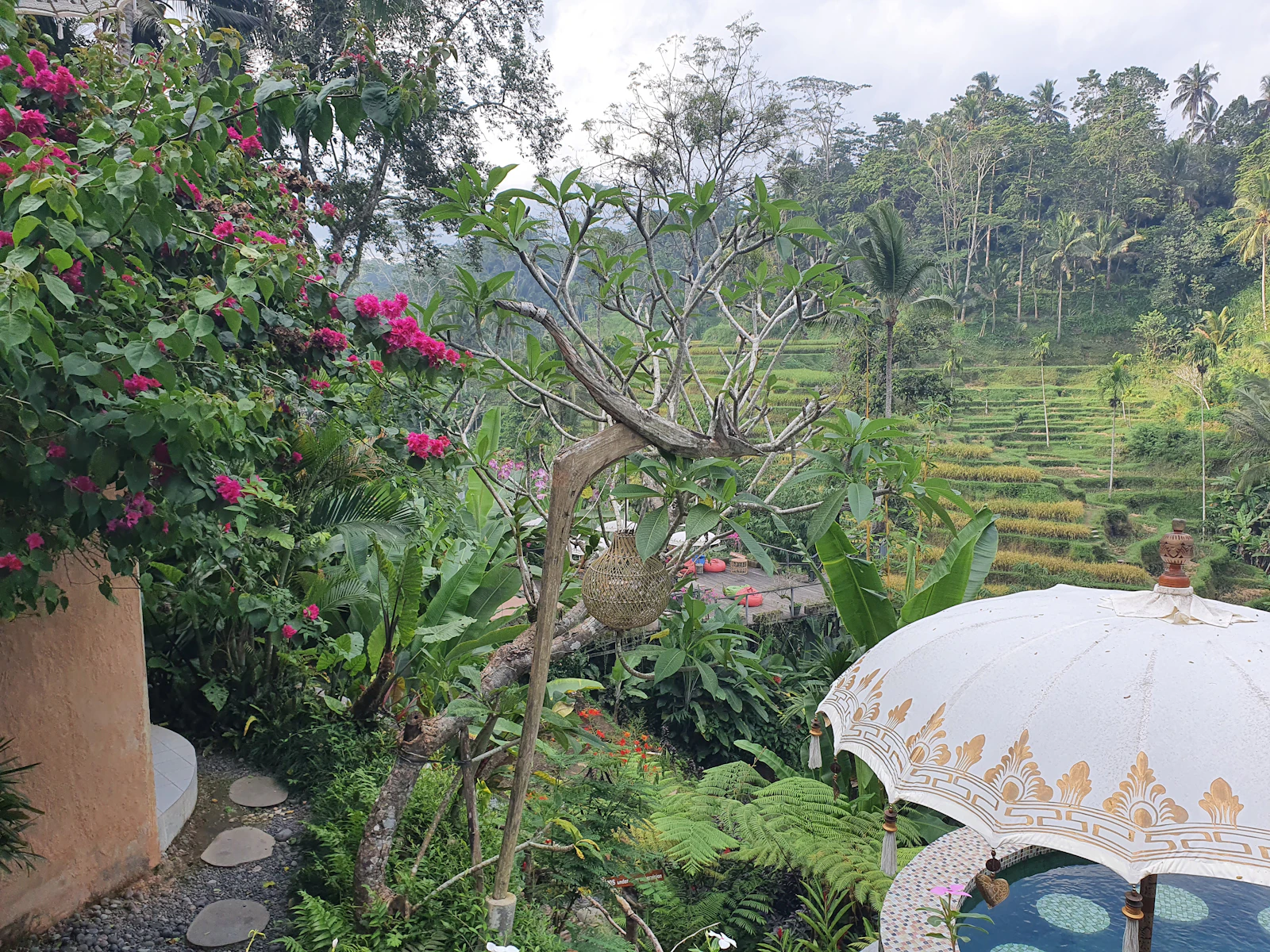 Bali tropical garden overlooking rice terraces and green hills
